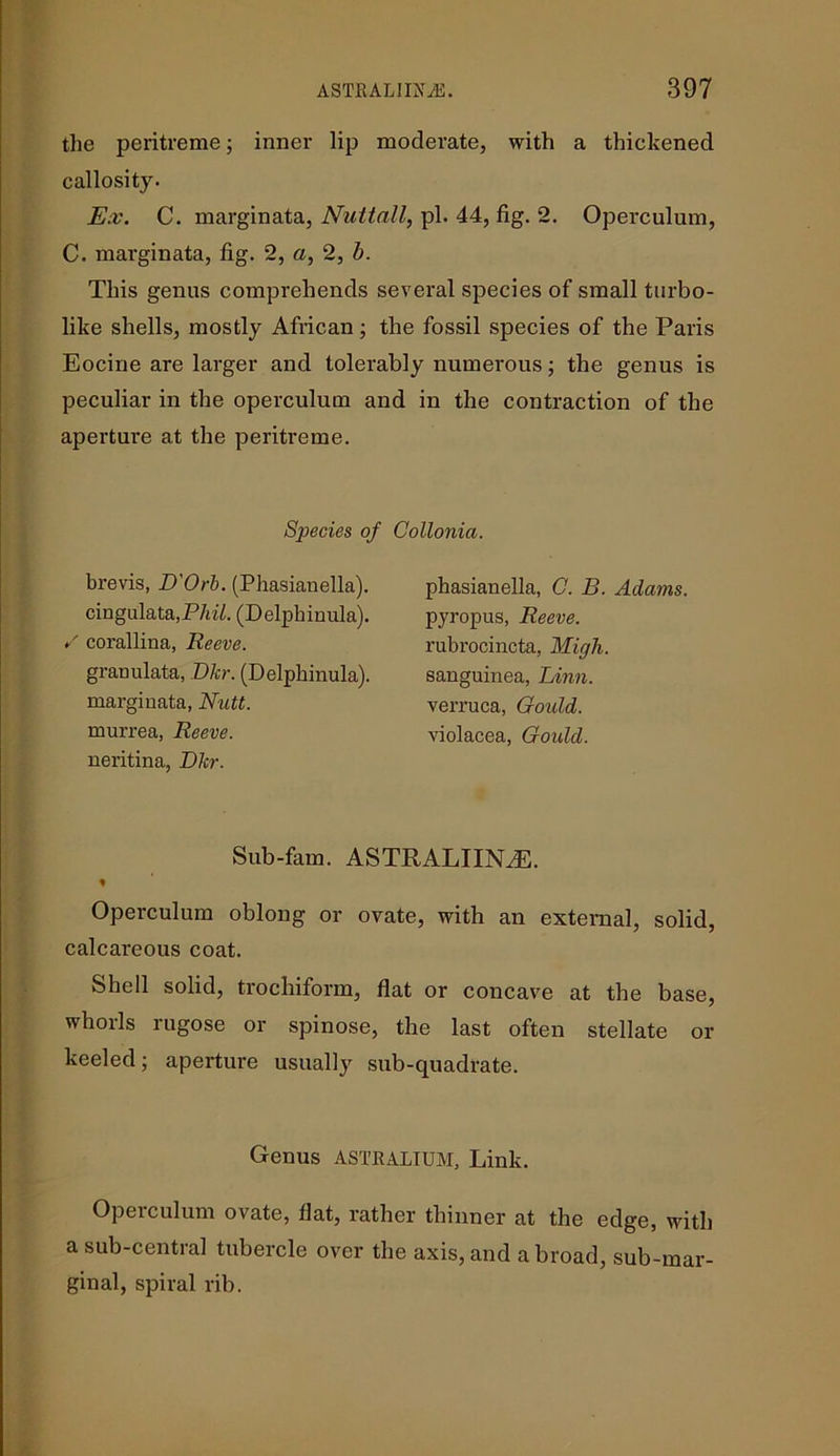 the peritreme; inner lip moderate, with a thickened callosity. Ex. C. marginata, Nuttall, pi. 44, fig. 2. Operculum, C. marginata, fig. 2, a, 2, b. This genus comprehends several species of small turbo- like shells, mostly African; the fossil species of the Paris Eocine are larger and tolerably numerous; the genus is peculiar in the operculum and in the contraction of the aperture at the peritreme. Species of Collonia. brevis, D'Orb. (Phasianella). cingulata,P/iiZ. (Delpkinula). / corallina, Reeve. granulata, Dkr. (Delpkinula). marginata, Nutt. murrea, Reeve. neritina, Dkr. phasianella, C. B. Adams. pyropus, Reeve. rubrocincta, Migh. sanguinea, Linn. verruca, Gould. violacea, Gould. Sub-fam. ASTRALIINAE. % Operculum oblong or ovate, with an external, solid, calcareous coat. Shell solid, trochiform, flat or concave at the base, whorls rugose or spinose, the last often stellate or keeled; aperture usually sub-quadrate. Genus ASTRALIUM, Link. Operculum ovate, flat, rather thinner at the edge, with a sub-central tubercle over the axis, and a broad, sub-mar- ginal, spiral rib.