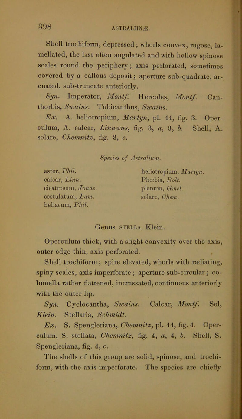 Shell trochiform, depressed; whorls convex, rugose, la- mellated, the last often angulated and with hollow spinose scales round the periphery; axis perforated, sometimes covered by a callous deposit; aperture sub-quadrate, ar- cuated, sub-truncate anteriorly. Syn. Imperator, Montf. Ilercoles, Montf. Can- thorbis, Swains. Tubicanthus, Swains. Ex. A. beliotropium, Martyn, pi. 44, fig. 3. Oper- culum, A. calcar, Linnaeus, fig. 3, a, 3, b. Shell, A. solare, Chemnitz, fig. 3, c. Species of Astralium. aster, Phil. calcar, Linn. cicatrosum, Jonas. costulatum, Lam. heliacum, Phil. heliotropium, Martyn. Phoebia, Bolt. planum, Gmel. solare, Chem. Genus STELLA, Klein. Operculum thick, with a slight convexity over the axis, outer edge thin, axis perforated. Shell trochiform ; spire elevated, whorls with radiating, spiny scales, axis imperforate ; aperture sub-circular ; co- lumella rather flattened, incrassated, continuous anteriorly with the outer lip. Syn. Cyclocantha, Swains. Calcar, Montf. Sol, Klein. Stellaria, Schmidt. Ex. S. Spengleriana, Chemnitz, pi. 44, fig. 4. Oper- culum, S. stellata, Chemnitz, fig. 4, a, 4, b. Shell, S. Spengleriana, fig. 4, c. The shells of this group are solid, spinose, and trochi- form, with the axis imperforate. The species arc chiefly