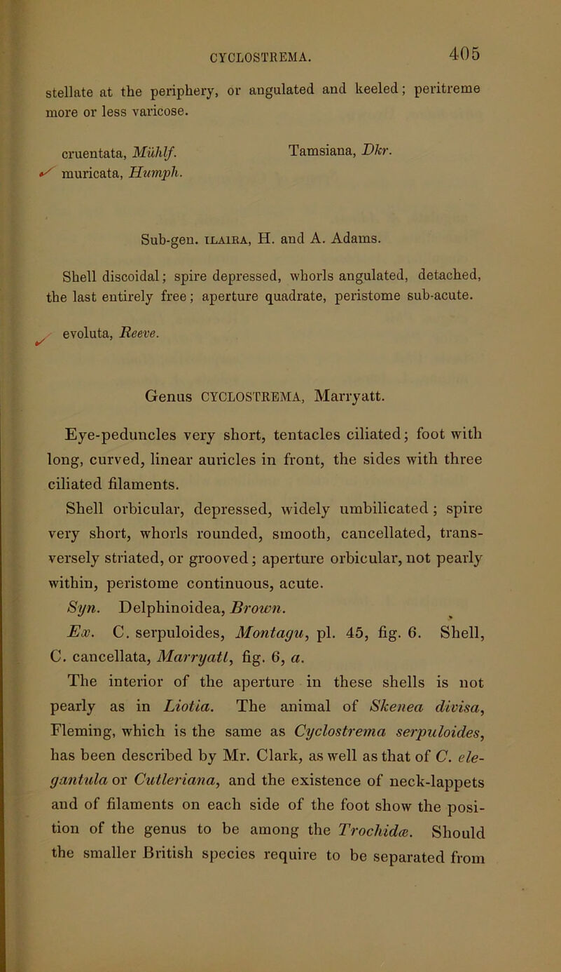 CYCLOSTREMA. stellate at the periphery, or angulated and keeled; peritreme more or less varicose. cruentata, Miihlf. Tamsiana, Dkr. muricata, Humph. Sub-gen. ilaiba, H. and A. Adams. Shell discoidal; spire depressed, whorls angulated, detached, the last entirely free; aperture quadrate, peristome sub-acute. evoluta, Reeve. Genus CYCLOSTREMA, Marryatt. Eye-peduncles very short, tentacles ciliated; foot with long, curved, linear auricles in front, the sides with three ciliated filaments. Shell orbicular, depressed, widely umbilicated; spire very short, whorls rounded, smooth, cancellated, trans- versely striated, or grooved; aperture orbicular,not pearly within, peristome continuous, acute. Syn. Delphinoidea, Brown. Ex. C. serpuloides, Montagu, pi. 45, fig. 6. Shell, C. cancellata, Marryatt, fig. 6, a. The interior of the aperture in these shells is not pearly as in Liotia. The animal of Skenea divisa, Fleming, which is the same as Cyclostrema serpuloides, has been described by Mr. Clark, as well as that of C. ele- gantula or Cutleriana, and the existence of neck-lappets and of filaments on each side of the foot show the posi- tion of the genus to be among the Trochidce. Should the smaller British species require to be separated from