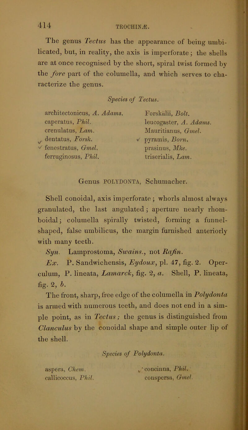 The genus Tectus has the appearance of being umbi- licated, but, in reality, the axis is imperforate; the shells are at once recognised by the short, spiral twist formed by the fore part of the columella, and which serves to cha- racterize the genus. Species of Tectus. architectonicus, A. Adams. caperatus, Phil. crenulatus, Lam. , dentatus, Forsk. fenestratus, Gmel. ferruginosus, Phil. Forskalii, Bolt. leucogaster, A. Adams. Mauritianus, Gmel. ✓ pyramis, Born. prasinus, Mke. triserialis, Lam. Genus POLYDONTA, Schumacher. Shell conoidal, axis imperforate ; whorls almost always granulated, the last angulated ; aperture nearly rliom- boidal; columella spirally twisted, forming a funnel- shaped, false umbilicus, the margin furnished anteriorly with many teeth. Syn. Lamprostoma, Swains., not Rafin. Ex. P. Sandwichensis, Eydoux, pi. 47, fig. 2. Oper- culum, P. lineata, Lamarck, fig. 2, a. Shell, P. lineata, fig. 2, b. The front, sharp, free edge of the columella in Polydonta is armed with numerous teeth, and does not end in a sim- ple point, as in Tectus; the genus is distinguished from Clanculus by the conoidal shape and simple outer lip of the shell. Species of Polydonta. aspera, Chem. eallicoccus, Phil. 'concinua, Phil. conspersa, Gmel.