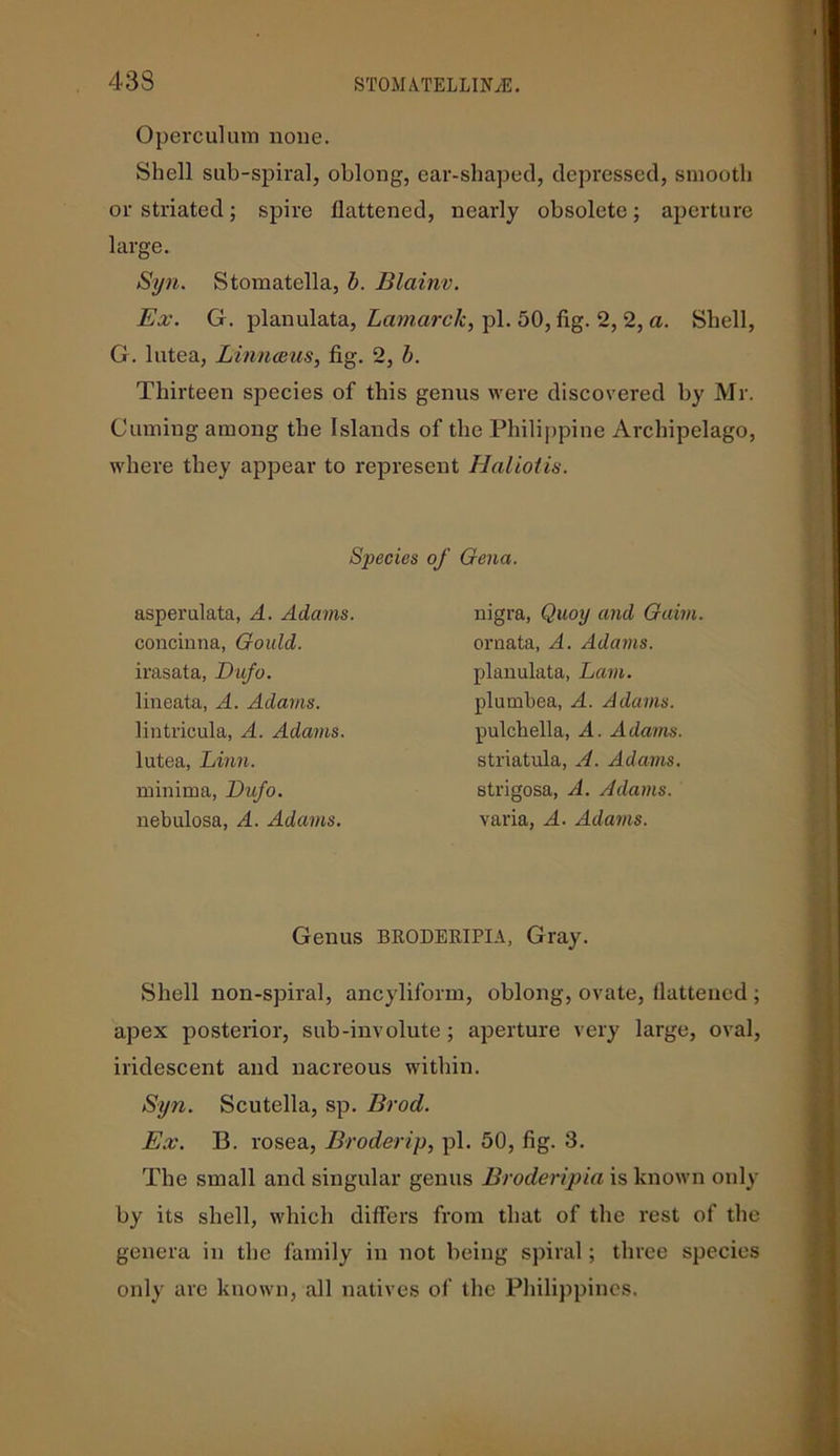 Operculum none. Shell sub-spiral, oblong, ear-shaped, depressed, smooth or striated; spire flattened, nearly obsolete; aperture large. Syn. Stomatclla, b. Blainv. Ex. G. planulata, Lamarck, pi. 50, fig. 2, 2, a. Shell, G. lutea, Linnaeus, fig. 2, b. Thirteen species of this genus were discovered by Mr. Cuming among the Islands of the Philippine Archipelago, where they appear to represent Haliotis. Species of Gena. asperulata, A. Adams. concinna, Gould. irasata, Dufo. lineata, A. Adams. lintricula, A. Adams. lutea, Linn. minima, Dufo. nebulosa, A. Adams. nigra, Quoy and Gaim ornata, A. Adams. planulata, Lam. plumbea, A. Adams. pulchella, A. Adams. striatula, A. Adams. strigosa, A. Adams. varia, A. Adams. Genus BRODERIPIA, Gray. Shell non-spiral, ancyliform, oblong, ovate, flattened ; apex posterior, sub-involute; aperture very large, oval, iridescent and nacreous within. Syn. Scutella, sp. Brod. Ex. B. rosea, Broderip, pi. 50, fig. 3. The small and singular genus Broderipia is known only by its shell, which differs from that of the rest of the genera in the family in not being spiral; three species only are known, all natives of the Philippines.