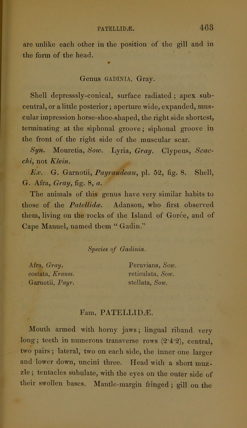 are unlike each other in the position of the gill and in the form of the head. Shell depresssly-conical, surface radiated ; apex sub- central, or a little posterior; aperture wide, expanded, mus- cular impression horse-shoe-shaped, the right side shortest, terminating at the siphonal groove; siphonal groove in the front of the right side of the muscular scar. Syn. Mouretia, Sow. Lyria, Gray. Clypeus, Scac- c/ii, not Klein. Ex. G. Garnotii, Payraudeau, pi. 52, fig. 8. Shell, G. Afra, Gray, fig. 8, a. The animals of this genus have very similar habits to those of the Patellidce. Adanson, who first observed them, living on the rocks of the Island of Goree, and of Cape Manuel, named them “ Gadin.” Mouth armed with horny jaws; lingual riband very long; teeth in numerous transverse rows (2'4’2), central, two pairs; lateral, two on each side, the inner one larger and lower down, uncini three. Head with a short muz- zle ; tentacles subulate, with the eyes on the outer side of their swollen bases. Mantle-margin fringed ; gill on the Genus gadinia, Gray. Species of Gadinia. Afra, Gray. costata, Krauss. Garnotii, Payr. Peruviana, Sow. reticulata, Sow. stellata, Sow. Fam. PATELLIDCE.