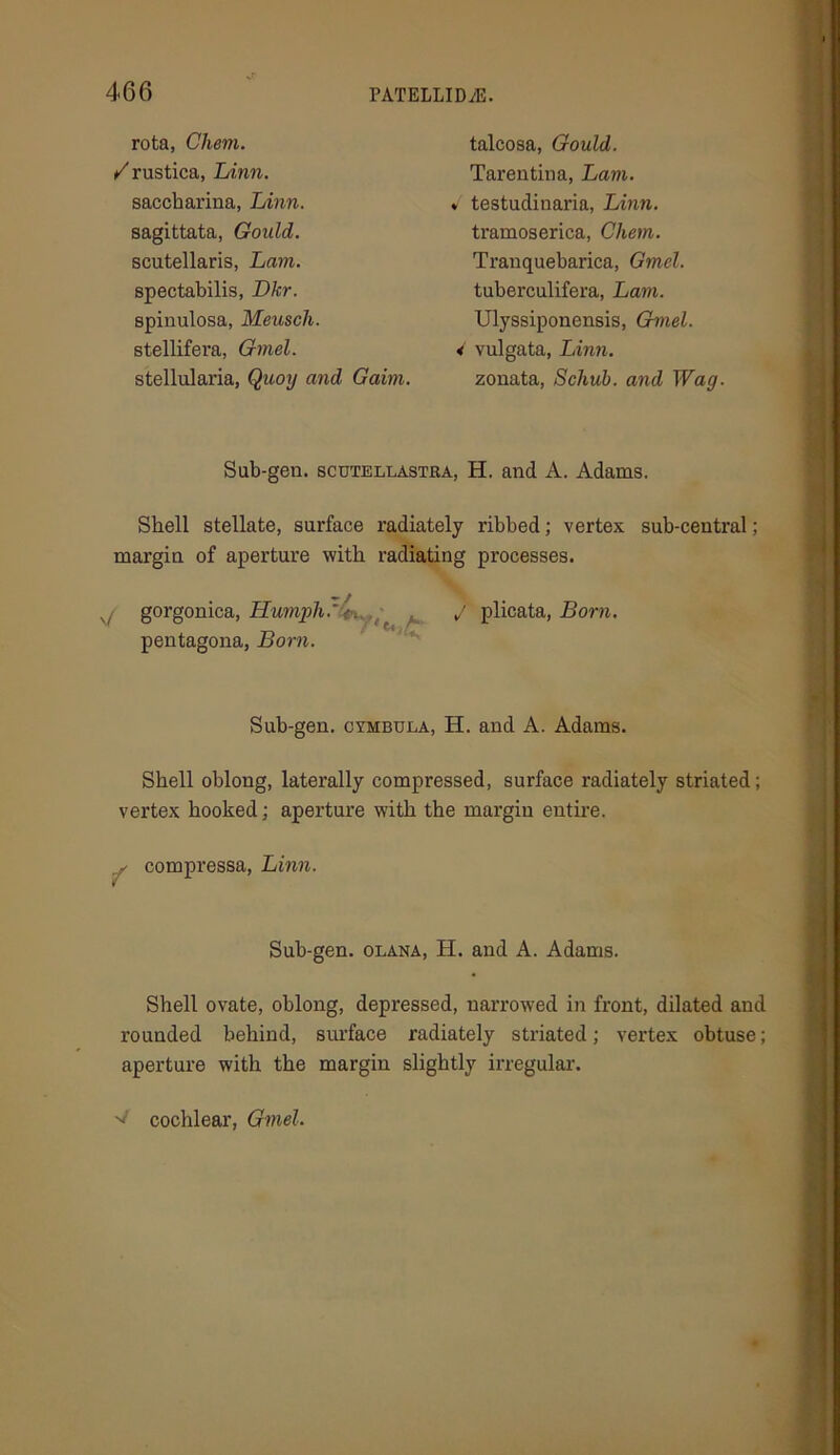 rota, Chem. / rustica, Linn. saccharina, Linn. sagittata, Gould. scutellaris, Lam. spectabilis, Dkr. spinulosa, Meusch. stellifera, Gmel. stellularia, Quoy and Gaim. talcosa, Gould. Tarentina, Lam. ♦ testudinaria, Linn. tramoserica, Chem. Tranquebarica, Gmel. tuberculifera, Lam. Ulyssiponensis, Gmel. < vulgata, Linn. zonata, Schub. and Wag. Sub-gen. scutellastka, H. and A. Adams. Shell stellate, surface radiately ribbed; vertex sub-central; margin of aperture with radiating processes. xy gorgonica, Humph :L. , J plicata, Born. pentagona, Born. Sub-gen. cymbula, H. and A. Adams. Shell oblong, laterally compressed, surface radiately striated; vertex hooked; aperture with the margin entire. - compressa, Linn. Sub-gen. olana, H. and A. Adams. Shell ovate, oblong, depressed, narrowed in front, dilated and rounded behind, surface radiately striated; vertex obtuse; aperture with the margin slightly irregular. •d cochlear, Gmel.