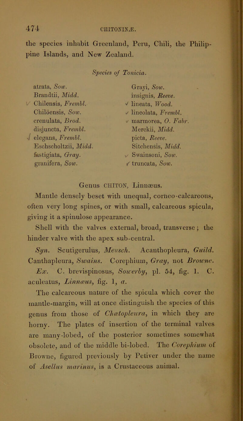 the species inhabit Greenland, Peru, Chili, the Philip- pine Islands, and New Zealand. Species of Tonicia. atrata, Sow. Brandtii, Midd. V Chilensis, Frembl. Cliiloensis, Sow. crenulata, Brod. disjuncta, Frembl. J elegans, Frembl. Eschscholtzii, Midd. fastigiata, Gray. grauifera, Sow. Grayi, Sow. insignis, Reeve. ■J lineata, Wood. ✓ lineolata, Frembl. o marmorea, O. Fabr. Merckii, Midd. picta, Reeve. Sitcliensis, Midd. s/ Swainsoni, Sow. / truncata, Sow. Genus CHITON, Linnmus. Mantle densely beset with unequal, corneo-calcareous, often very long spines, or with small, calcareous spicula, giving it a spinulose appearance. Shell with the valves external, broad, transverse; the hinder valve with the apex sub-central. Syn. Scudgerulus, Meusch. Acanthopleura, Guild. Canthapleura, Swains. Corephium, Gray, not Browne. Ex. C. brevispinosus, Souerby, pi. 54, fig. 1. C. aculeatus, Linnaeus, fig. 1, a. The calcareous nature of the spicula which cover the mantle-margin, will at once distinguish the species of this genus from those of Chattopleura, in which they are horny. The plates of insertion of the terminal valves are many-lobed, of the posterior sometimes somewhat obsolete, and of the middle bi-lobcd. The Corephium of Browne, figured previously by Petiver under the name of Asellus marinus, is a Crustaceous animal.