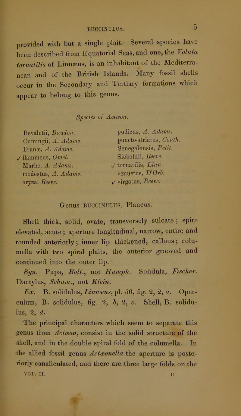 0 provided with but a single plait. Several species have been described from Equatorial Seas, and one, the Voluta iornatilis of Linnaeus, is an inhabitant of the Mediterra- nean and of the British Islands. Many fossil shells occur in the Secondary and Tertiary formations which appear to belong to this genus. Species of Actceon. Bevaletii, Baudon. Cumingii, A. Adams. Diame, A. Adams. S flammeus, Gmel. Marire, A. Adams. modestus, A. Adams. oryza, Reeve. pudicus, A. Adams. puncto-striatus, Couth. Senegalensis, Petit. Sieboldii, Reeve, d tornatilis, Linn. venustus, D’Orh. if virgatus, Reeve. Genus BUCCINULUS, Plancus. Shell thick, solid, ovate, transversely sulcate ; spire elevated, acute ; aperture longitudinal, narrow, entire and rounded anteriorly; inner lip thickened, callous; colu- mella with two spiral plaits, the anterior grooved and continued into the outer lip. Syn. Pupa, Bolt., not Humph. Solidula, Fischer. Dactylus, Schum., not Klein. Ex. B. solidulus, Linnaeus, pi. 56, fig. 2, 2, a. Oper- culum, B. solidulus, fig. 2, h, 2, c. Shell, B. solidu- lus, 2, d. The principal characters which seem to separate this genus from Actceon, consist in the solid structure of the shell, and in the double spiral fold of the columella. In the allied fossil genus Actceonella the aperture is poste- riorly canaliculated, and there are three large folds on the