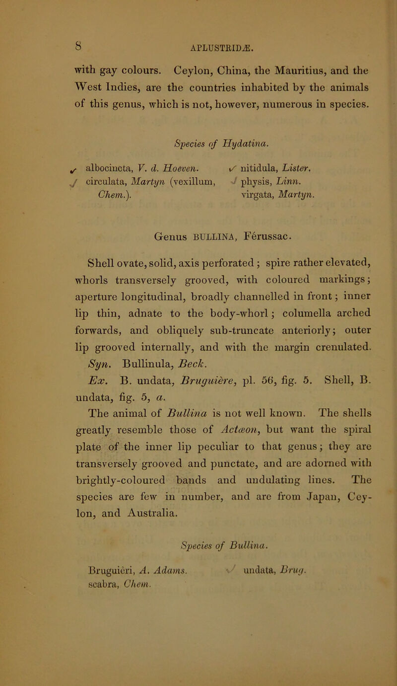 with gay colours. Ceylon, China, the Mauritius, and the West Indies, are the countries inhabited by the animals of this genus, which is not, however, numerous in species. Species of Hydatina. albociucta, V. d. Hoeven. ^ nitidula, Lister. circulata, Martyn (vexillum, physis, Linn. Chem.). virgata, Martyn. Genus BULLINA, Ferussac. Shell ovate, solid, axis perforated ; spire rather elevated, whorls transversely grooved, with coloured markings; aperture longitudinal, broadly channelled in front; inner lip thin, adnate to the body-whorl; columella arched forwards, and obliquely sub-truncate anteriorly; outer lip grooved internally, and with the margin crenulated. Syn. Bullinula, Beck. Ex. B. undata, Bruguiere, pi. 56*, fig. 5. Shell, B. undata, fig. 5, a. The animal of Bullina is not well known. The shells greatly resemble those of Actceon, but want the spiral plate of the inner lip peculiar to that genus; they are transversely grooved and punctate, and are adorned with brightly-coloured bands and undulating lines. The species are few in number, and are from Japan, Cey- lon, and Australia. Species of Bullina. Bruguieri, A. Adams. undata, Bruy. scabra, Chem.