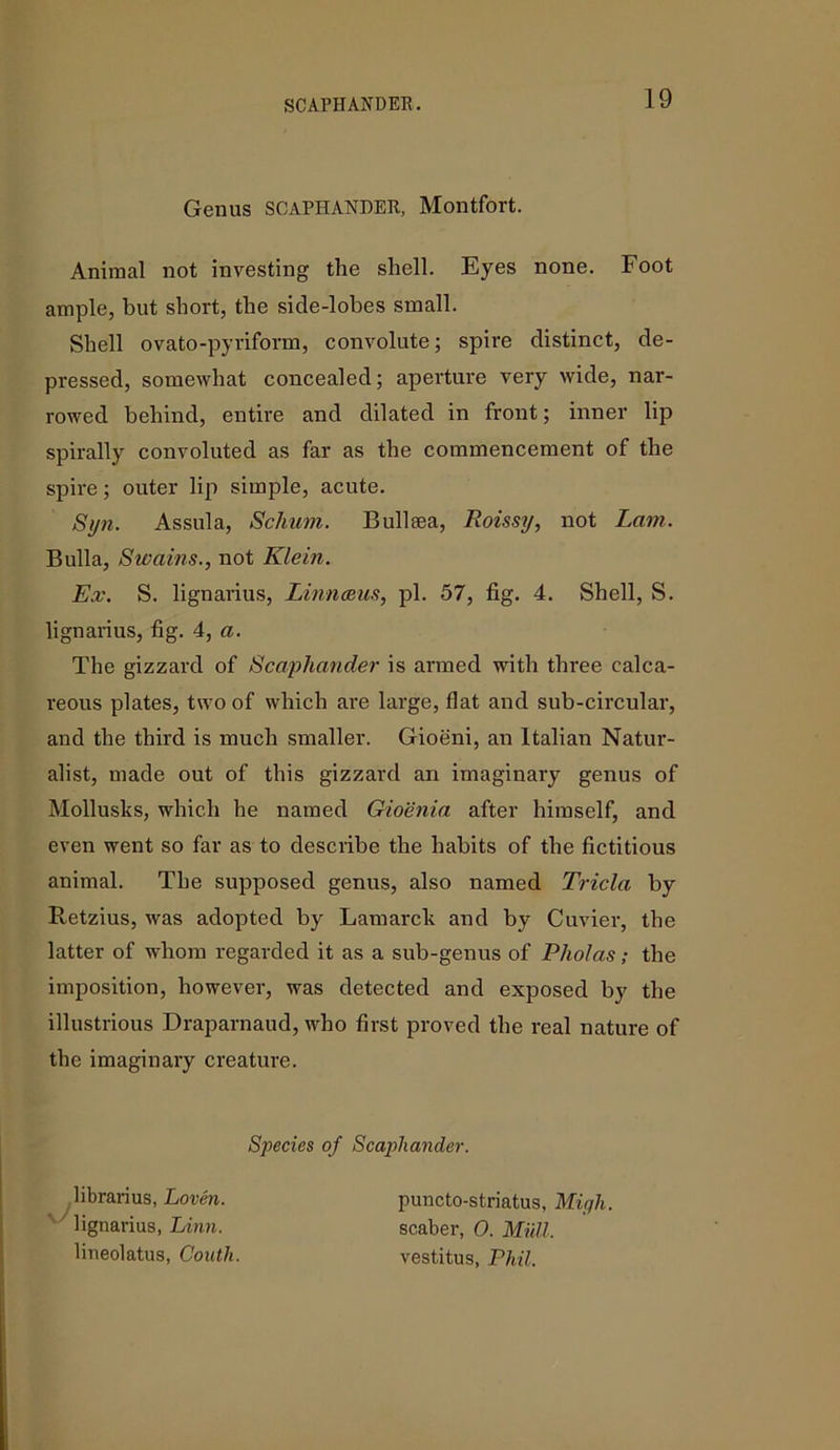 SCAPHANDER. Genus SCAPHANDER, Montfort. Animal not investing the shell. Eyes none. Foot ample, but short, the side-lobes small. Shell ovato-pyriform, convolute; spire distinct, de- pressed, somewhat concealed; aperture very wide, nar- rowed behind, entire and dilated in front; inner lip spirally convoluted as far as the commencement of the spire; outer lip simple, acute. Syn. Assula, Sclium. Bull sea, Roissy, not Lam. Bulla, Swains., not Klein. Ex. S. lignarius, Linnaeus, pi. 57, fig. 4. Shell, S. lignarius, fig. 4, a. The gizzard of Scaphander is armed with three calca- reous plates, two of which are large, flat and sub-circular, and the third is much smaller. Gioeni, an Italian Natur- alist, made out of this gizzard an imaginary genus of Mollusks, which he named Gioenia after himself, and even went so far as to describe the habits of the fictitious animal. The supposed genus, also named Tricla by Retzius, was adopted by Lamarck and by Cuvier, the latter of whom regarded it as a sub-genus of Pholas; the imposition, however, was detected and exposed by the illustrious Draparnaud, who first proved the real nature of the imaginary creature. Species of Scaphander. librarius, Loven. lignarius, Linn. lineolatus, Couth puncto-striatus, High. scaber, O. Mull. vestitus, Phil.