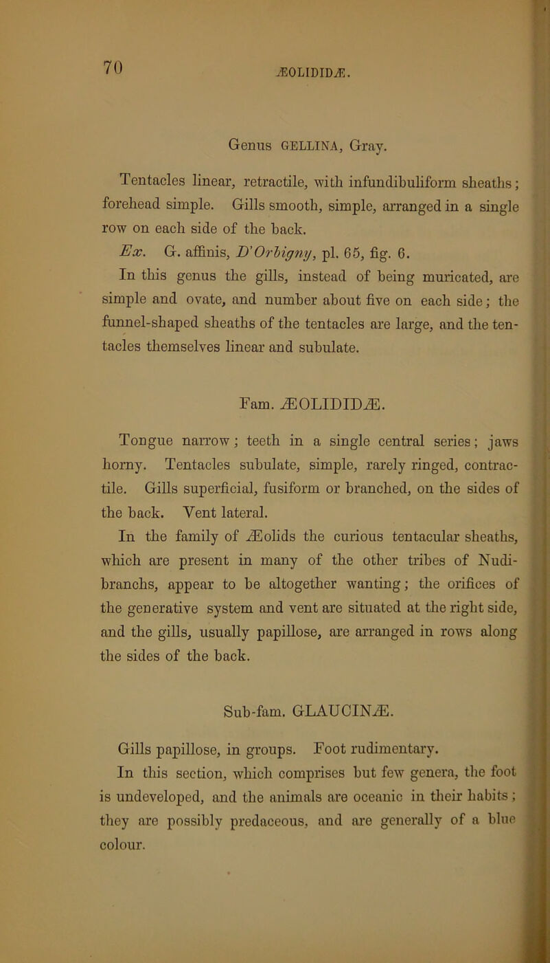 Genus GELLINA, Gray. Tentacles linear, retractile, with infundibuliform sheaths; forehead simple. Gills smooth, simple, arranged in a single row on each side of the hack. Ex. G. affinis, D’Orbigny, pi. 65, fig. 6. In this genus the gills, instead of being muricated, are simple and ovate, and number about five on each side; the funnel-shaped sheaths of the tentacles are large, and the ten- tacles themselves linear and subulate. Fam. iEOLIDIDiE. Tongue narrow; teeth in a single central series; jaws horny. Tentacles subulate, simple, rarely ringed, contrac- tile. Gills superficial, fusiform or branched, on the sides of the back. Vent lateral. In the family of iEolids the curious tentacular sheaths, which are present in many of the other tribes of Nudi- branchs, appear to be altogether wanting; the orifices of the generative system and vent are situated at the right side, and the gills, usually papillose, are arranged in rows along the sides of the back. Sub-fam. GLAUCINiE. Gills papillose, in groups. Foot rudimentary. In this section, which comprises but few genera, the foot is undeveloped, and the animals are oceanic in their habits; . they are possibly predaceous, and are generally of a blue colour.