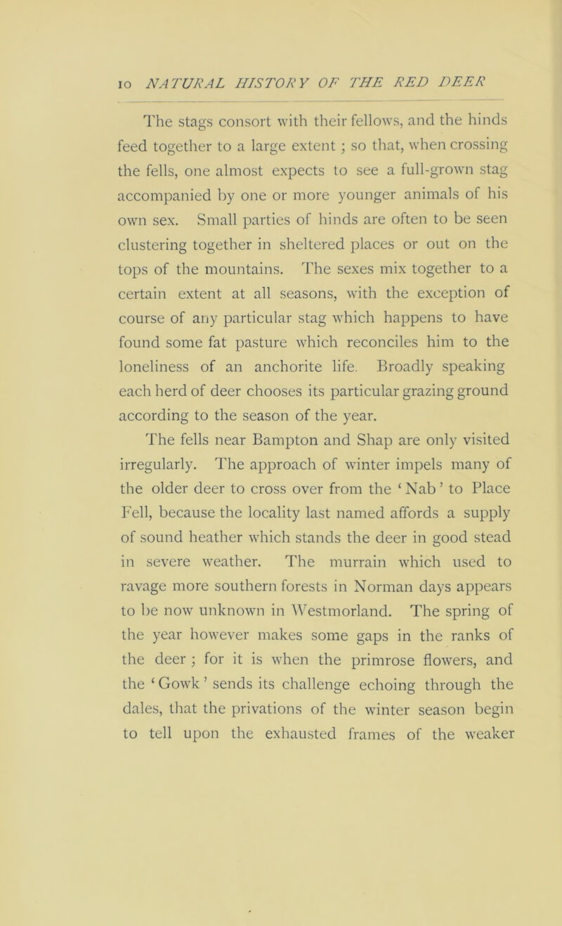 The stags consort with their fellows, and the hinds feed together to a large extent; so that, when crossing the fells, one almost expects to see a full-grown stag accompanied by one or more younger animals of his own sex. Small parties of hinds are often to be seen clustering together in sheltered places or out on the tops of the mountains. The sexes mix together to a certain extent at all seasons, with the exception of course of any particular stag which happens to have found some fat pasture which reconciles him to the loneliness of an anchorite life. Broadly speaking each herd of deer chooses its particular grazing ground according to the season of the year. The fells near Bampton and Shap are only visited irregularly. The approach of whnter impels many of the older deer to cross over from the ‘ Nab ’ to Place Fell, because the locality last named affords a supply of sound heather which stands the deer in good stead in severe weather. I'he murrain which used to ravage more southern forests in Norman days appears to be now unknown in Westmorland. The spring of the year however makes some gaps in the ranks of the deer ; for it is when the primrose flowers, and the ‘ Gowk ’ sends its challenge echoing through the dales, that the privations of the winter season begin to tell upon the exhausted frames of the weaker