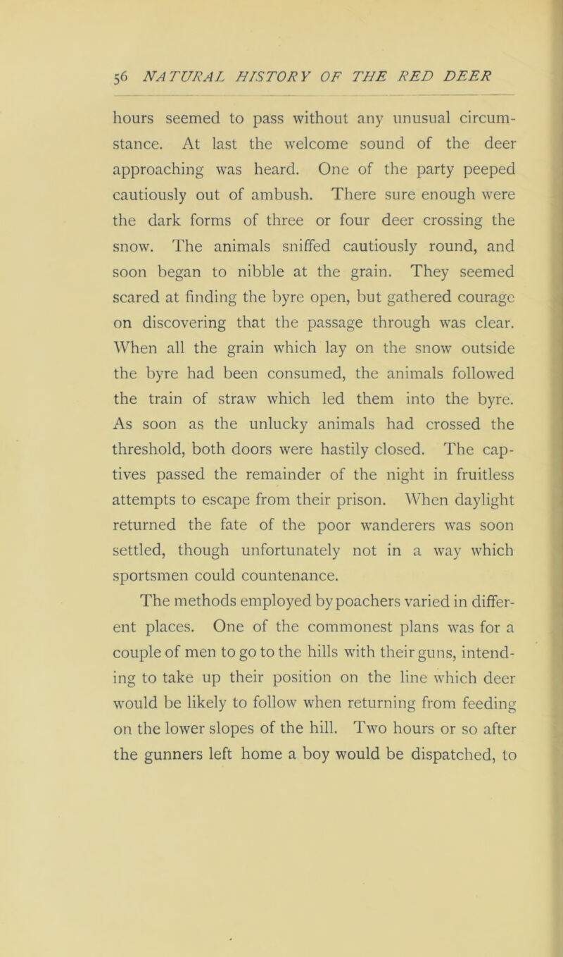 hours seemed to pass without any unusual circum- stance. At last the welcome sound of the deer approaching was heard. One of the party peeped cautiously out of ambush. There sure enough were the dark forms of three or four deer crossing the snow. The animals sniffed cautiously round, and soon began to nibble at the grain. They seemed scared at finding the byre open, but gathered courage on discovering that the passage through was clear. When all the grain which lay on the snow outside the byre had been consumed, the animals followed the train of straw which led them into the byre. As soon as the unlucky animals had crossed the threshold, both doors were hastily closed. The cap- tives passed the remainder of the night in fruitless attempts to escape from their prison. When daylight returned the fate of the poor wanderers was soon settled, though unfortunately not in a way which sportsmen could countenance. The methods employed by poachers varied in differ- ent places. One of the commonest plans was for a couple of men to go to the hills with their guns, intend- ing to take up their position on the line which deer would be likely to follow when returning from feeding on the lower slopes of the hill. Two hours or so after the gunners left home a boy would be dispatched, to