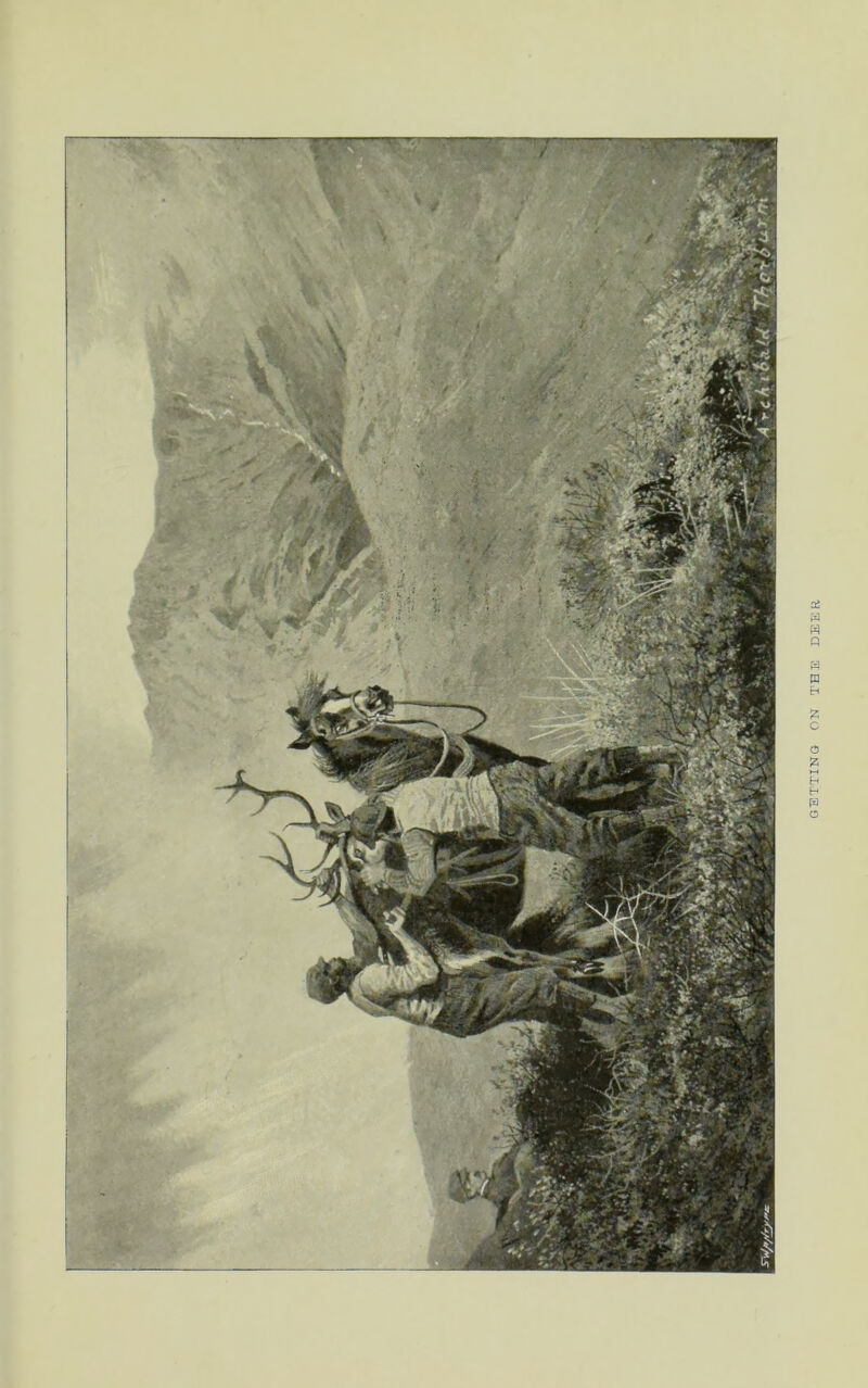 yM GETTING ON THE DEER