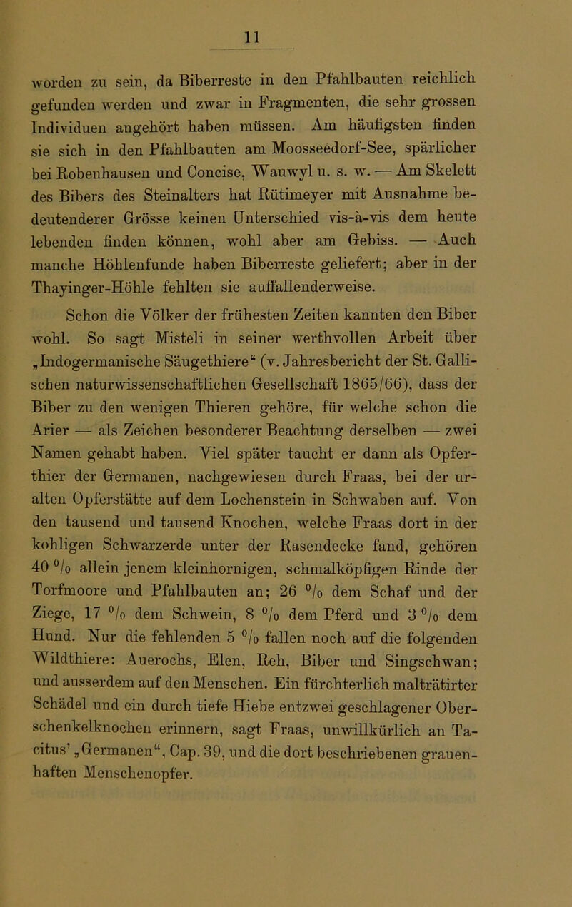 worden zu sein, da Biberreste in den Pfahlbauten reichlich gefunden werden und zwar in Fragmenten, die sehr grossen Individuen angehört haben müssen. Am häufigsten finden sie sich in den Pfahlbauten am Moosseedorf-See, spärlicher bei Robeuhausen und Concise, Wauwyl u. s. w. — Am Skelett des Bibers des Steinalters hat Rütimeyer mit Ausnahme be- deutenderer Grösse keinen Unterschied vis-ä-vis dem heute lebenden finden können, wobl aber am Gebiss. — Auch manche Höhlenfunde haben Biberreste geliefert; aber in der Thayinger-Hölile fehlten sie auffallenderweise. Schon die Völker der frühesten Zeiten kannten den Biber wohl. So sagt Misteli in seiner werthvollen Arbeit über „Indogermanische Säugethiere“ (v. Jahresbericht der St. Galli- schen naturwissenschaftlichen Gesellschaft 1865/66), dass der Biber zu den wenigen Thieren gehöre, für welche schon die Arier — als Zeichen besonderer Beachtung derselben — zwei Namen gehabt haben. Viel später taucht er dann als Opfer- thier der Germanen, nachgewiesen durch Fraas, bei der ur- alten Opferstätte auf dem Lochenstein in Schwaben auf. Von den tausend und tausend Knochen, welche Fraas dort in der kohligen Schwarzerde unter der Rasendecke fand, gehören 40 °/o allein jenem kleinhornigen, schmalköpfigen Rinde der Torfmoore und Pfahlbauten an; 26 °/o dem Schaf und der Ziege, 17 °/o dem Schwein, 8 °/o dem Pferd und 3 °/o dem Hund. Nur die fehlenden 5 °/o fällen noch auf die folgenden Wildthiere: Auerochs, Elen, Reh, Biber und Singschwan; und ausserdem auf den Menschen. Ein fürchterlich malträtirter Schädel und ein durch tiefe Hiebe entzwei geschlagener Ober- schenkelknochen erinnern, sagt Fraas, unwillkürlich an Ta- citus „Germanen“, Cap. 39, und die dort beschriebenen grauen- haften Menschenopfer.