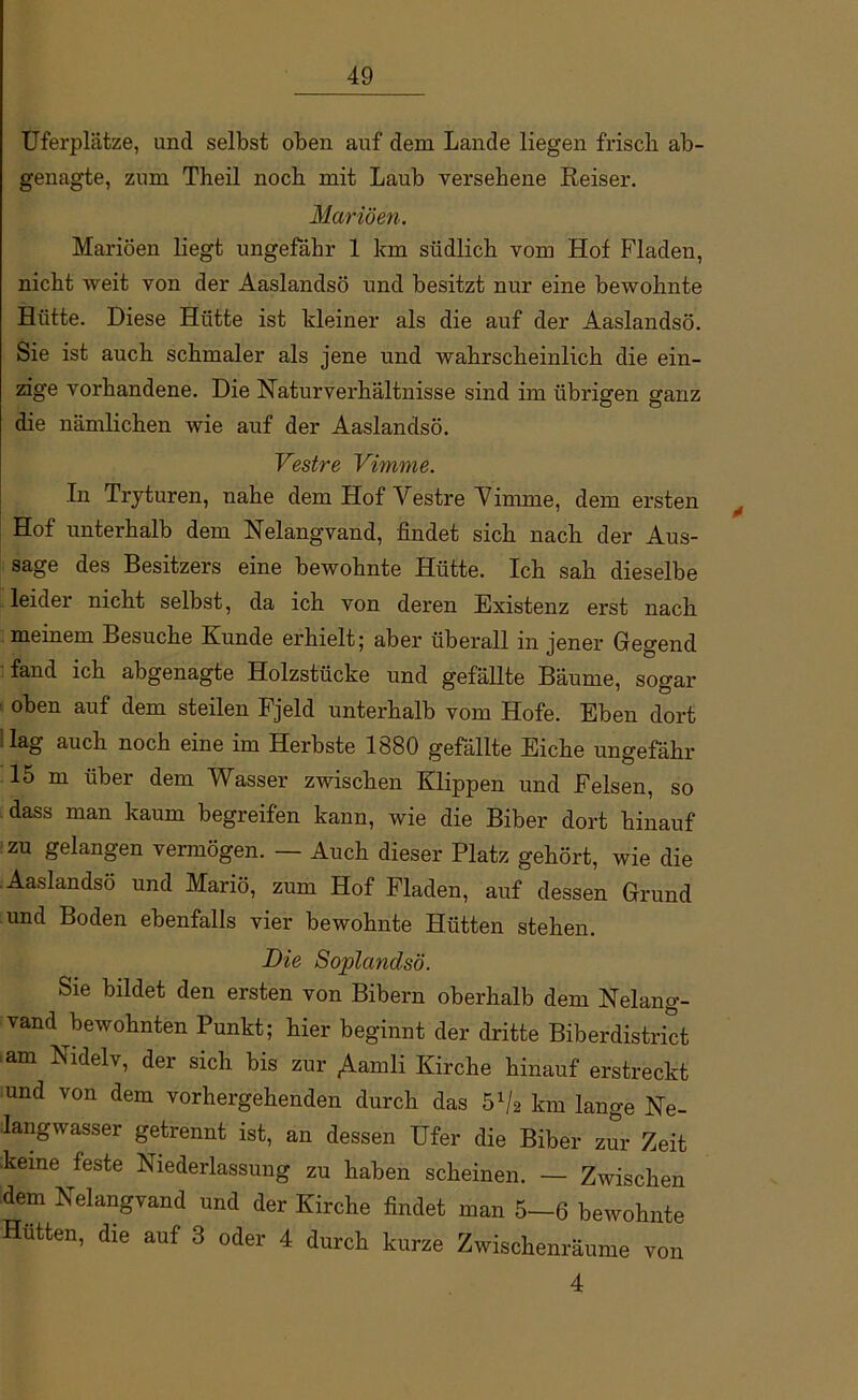 Uferplätze, und selbst oben auf dem Lande liegen frisch ab- genagte, zum Theil noch mit Laub versehene Reiser. Mariöen. Mariöen liegt ungefähr 1 km südlich vom Hof Fladen, nicht weit von der Aaslandsö und besitzt nur eine bewohnte Hütte. Diese Hütte ist kleiner als die auf der Aaslandsö. Sie ist auch schmaler als jene und wahrscheinlich die ein- zige vorhandene. Die Naturverhältnisse sind im übrigen ganz die nämlichen wie auf der Aaslandsö. Vestre Vimme. In Tryturen, nahe dem Hof Vestre Vimme, dem ersten Hof unterhalb dem Nelangvand, findet sich nach der Aus- sage des Besitzers eine bewohnte Hütte. Ich sah dieselbe leider nicht selbst, da ich von deren Existenz erst nach meinem Besuche Kunde erhielt; aber überall in jener Gegend fand ich abgenagte Holzstücke und gefällte Bäume, sogar oben auf dem steilen Fjeld unterhalb vom Hofe. Eben dort lag auch noch eine im Herbste 1880 gefällte Eiche ungefähr 15 m über dem Wasser zwischen Klippen und Felsen, so dass man kaum begreifen kann, wie die Biber dort hinauf zu gelangen vermögen. — Auch dieser Platz gehört, wie die Aaslandsö und Mario, zum Hof Fladen, auf dessen Grund und Boden ebenfalls vier bewohnte Hütten stehen. Die Soplandsö. Sie bildet den ersten von Bibern oberhalb dem Nelang- vand gewohnten Punkt; hier beginnt der dritte Biberdistrict am Nidelv, der sich bis zur «Aamli Kirche hinauf erstreckt und von dem vorhergehenden durch das 5% km lange Ne- langwasser getrennt ist, an dessen Ufer die Biber zur Zeit :keine feste Niederlassung zu haben scheinen. — Zwischen fiem Kelangvand und der Kirche findet man 5—6 bewohnte Hutten, die auf 3 oder 4 durch kurze Zwischenräume von 4