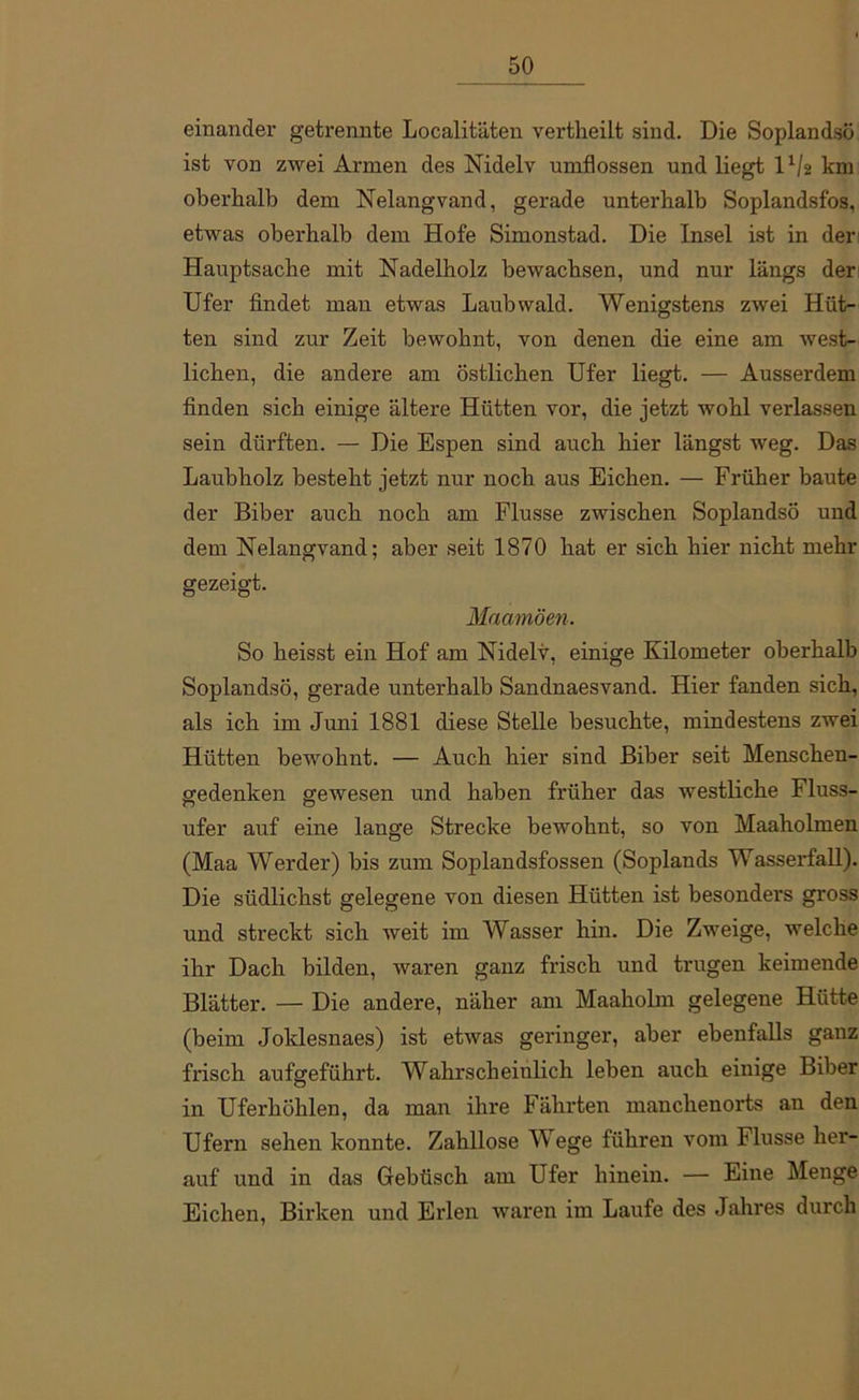 einander getrennte Localitäten vertheilt sind. Die Soplandsü ist von zwei Armen des Nidelv umflossen und liegt U/2 km oberhalb dem Nelangvand, gerade unterhalb Soplandsfos, etwas oberhalb dem Hofe Simonstad. Die Insel ist in der Hauptsache mit Nadelholz bewachsen, und nur längs der Ufer findet man etwas Laubwald. Wenigstens zwei Hüt- ten sind zur Zeit bewohnt, von denen die eine am west- lichen, die andere am östlichen Ufer liegt. — Ausserdem finden sich einige ältere Hütten vor, die jetzt wohl verlassen sein dürften. — Die Espen sind auch hier längst weg. Das Laubholz besteht jetzt nur noch aus Eichen. — Früher baute der Biber auch noch am Flusse zwischen Soplandsö und dem Nelangvand; aber seit 1870 hat er sich hier nicht mehr gezeigt. Maamöen. So heisst ein Hof am Nidelv, einige Kilometer oberhalb Soplandsö, gerade unterhalb Sandnaesvand. Hier fanden sich, als ich im Juni 1881 diese Stelle besuchte, mindestens zwei Hütten bewohnt. — Auch hier sind Biber seit Menschen- gedenken gewesen und haben früher das westliche Fluss- ufer auf eine lange Strecke bewohnt, so von Maaholmen (Maa Werder) bis zum Soplandsfossen (Soplands Wasserfall). Die südlichst gelegene von diesen Hütten ist besonders gross und streckt sich weit im Wasser hin. Die Zweige, welche ihr Dach bilden, waren ganz frisch und trugen keimende Blätter. — Die andere, näher am Maaholm gelegene Hütte (beim Joklesnaes) ist etwas geringer, aber ebenfalls ganz frisch aufgeführt. Wahrscheinlich leben auch einige Biber in Uferhöhlen, da man ihre Fährten manchenorts an den Ufern sehen konnte. Zahllose Wege führen vom Flusse her- auf und in das Gebüsch am Ufer hinein. — Eine Menge Eichen, Birken und Erlen waren im Laufe des Jahres durch