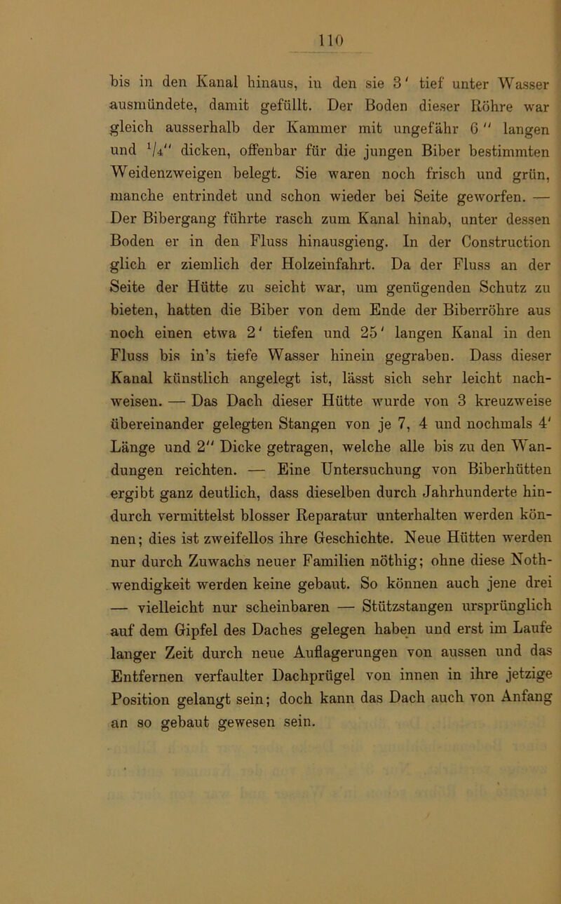 bis in den Kanal hinaus, in den sie 3' tief unter Wasser ausmündete, damit gefüllt. Der Boden dieser Röhre war gleich ausserhalb der Kammer mit ungefähr 6 langen und lU“ dicken, offenbar für die jungen Biber bestimmten Weidenzweigen belegt. Sie waren noch frisch und grün, manche entrindet und schon wieder bei Seite geworfen. — Der Bibergang führte rasch zum Kanal hinab, unter dessen Boden er in den Fluss hinausgieng. In der Construction glich er ziemlich der Holzeinfahrt. Da der Fluss an der Seite der Hütte zu seicht war, um genügenden Schutz zu bieten, hatten die Biber von dem Ende der Biberröhre aus noch einen etwa 2' tiefen und 25' langen Kanal in den Fluss bis in’s tiefe Wasser hinein gegraben. Dass dieser Kanal künstlich angelegt ist, lässt sich sehr leicht nach- weisen. — Das Dach dieser Hütte wurde von 3 kreuzweise übereinander gelegten Stangen von je 7, 4 und nochmals 4' Länge und 2 Dicke getragen, welche alle bis zu den Wan- dungen reichten. — Eine Untersuchung von Biberhütten ergibt ganz deutlich, dass dieselben durch Jahrhunderte hin- durch vermittelst blosser Reparatur unterhalten werden kön- nen; dies ist zweifellos ihre Geschichte. Neue Hütten werden nur durch Zuwachs neuer Familien nöthig; ohne diese Noth- wendigkeit werden keine gebaut. So können auch jene drei — vielleicht nur scheinbaren — Stützstangen ursprünglich auf dem Gipfel des Daches gelegen haben und erst im Laufe langer Zeit durch neue Auflagerungen von aussen und das Entfernen verfaulter Dachprügel von innen in ihre jetzige Position gelangt sein; doch kann das Dach auch von Anfang an so gebaut gewesen sein.