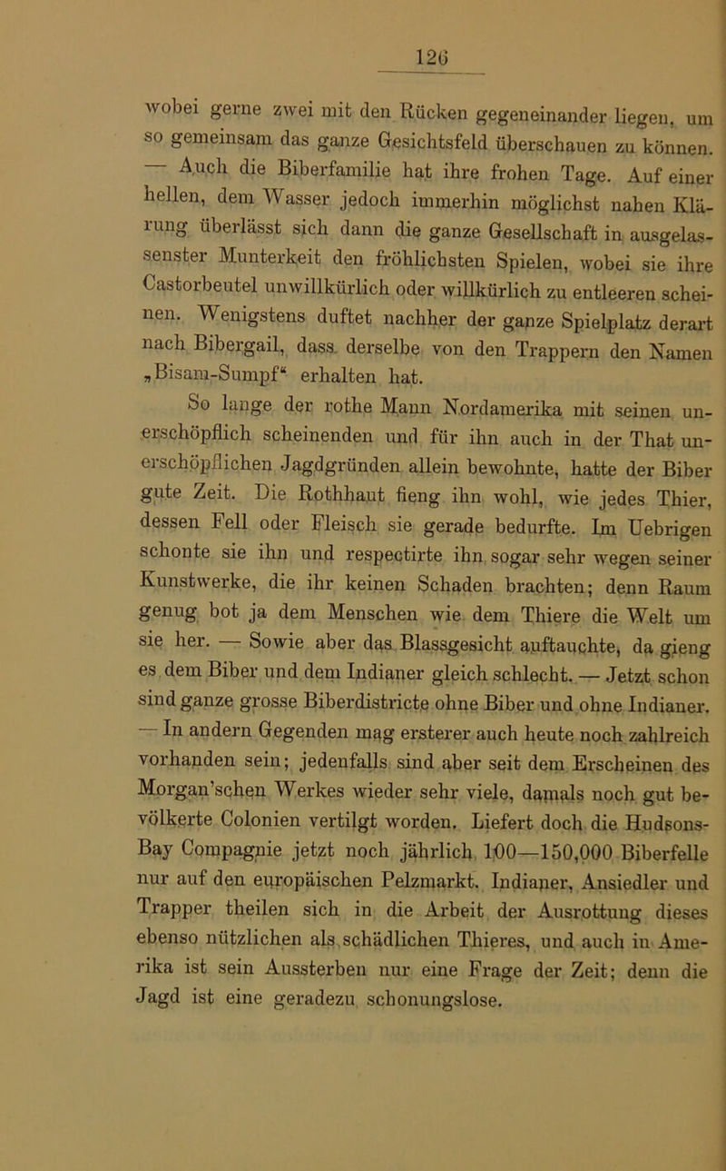 120 wobei gerne zwei mit den Rücken gegeneinander liegen, um so gemeins.am das ganze Gesichtsfeld überschauen zu können. — Auch die Biberfamilie hat ihre frohen Tage. Auf einer hellen, dem Wasser jedoch immerhin möglichst nahen Klä- rung überlässt sich dann die ganze Gesellschaft in ausgelas- senster Munterkeit den fröhlichsten Spielen, wobei sie ihre Castorbeutel unwillkürlich oder willkürlich zu entleeren schei- nen. Wenigstens duftet nachher der gapze Spielplatz derart nach Bibergail, dass, derselbe von den Trappern den Namen „Bisam-Sumpf“ erhalten hat. So lange der rothe Mann Nordamerika mit seinen un- erschöpflich scheinenden und für ihn auch in der That un- erschöpflichen Jagdgründen allein bewohnte, hatte der Biber gute Zeit. Die Rothhaut fieng ihn wohl, wie jedes Thier, dessen Fell oder Fleisch sie gerade bedurfte. Im Uebrigen schonte sie ihn und respectirte ihn sogar sehr wregen seiner Kunstwerke, die ihr keinen Schaden brachten; denn Raum genug bot ja dem Menschen wie dem Thiere die Welt um sie her. — Sowie aber das Blassgesicht ajuftauchte, da gieng es dem Biber und dem Indianer gleich schlecht. — Jetzt schon sind ganze grosse Biberdistxicte ohne Biber und ohne Indianer. — In andern Gegenden mag ersterer auch heute noch zahlreich vorhanden sein; jedenfalls sind aber seit dem Erscheinen des Mox'gan’schen Werkes wieder sehr viele, damals noch gut be- völkerte Colonien vertilgt worden. Liefert doch die Hudsons- Bay Compagnie jetzt noch jährlich 100—150,000 Biberfelle nur axxf den europäischeix Pelzmax'kt. Indiajxer, Ansiedler und Trapper theilen sich in die Arbeit der Ausrottung dieses ebenso nützlichen als schädlichen Tlxieres, und auch in Ame- rika ist sein Aussterben nur eine Frage der Zeit; denn die Jagd ist eine geradezu schonungslose.