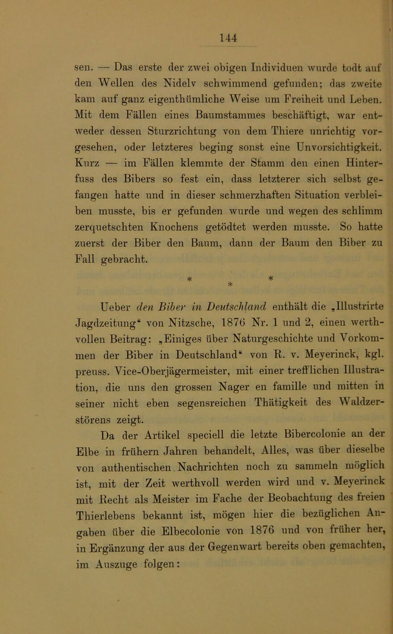 sen. — Das erste cler zwei obigen Individuen wurde todt auf den Wellen des Nidelv schwimmend gefunden; das zweite kam auf ganz eigentümliche Weise um Freiheit und Leben. Mit dem Fällen eines Baumstammes beschäftigt, war ent- weder dessen Sturzrichtung von dem Thiere unrichtig vor- gesehen, oder letzteres beging sonst eine Unvorsichtigkeit. Kurz — im Fällen klemmte der Stamm den einen Hinter- fuss des Bibers so fest ein, dass letzterer sich selbst ge- fangen hatte und in dieser schmerzhaften Situation verblei- ben musste, bis er gefunden wurde und wegen des schlimm zerquetschten Knochens getödtet werden musste. So hatte zuerst der Biber den Baum, dann der Baum den Biber zu Fall gebracht. * ^ * Ueber den Biber in Deutschland enthält die „Illustrirte Jagdzeitung“ von Nitzsche, 1876 Nr. 1 und 2, einen werth- vollen Beitrag: „Einiges über Naturgeschichte und Vorkom- men der Biber in Deutschland“ von R. v. Meyerinck, kgl. preuss. Vice-Oberjägermeister, mit einer trefflichen Illustra- tion, die uns den grossen Nager en famille und mitten in seiner nicht eben segensreichen Thätigkeit des Waldzer- störens zeigt. Da der Artikel speciell die letzte Bibercolonie au der Elbe in frühem Jahren behandelt, Alles, was über dieselbe von authentischen Nachrichten noch zu sammeln möglich ist, mit der Zeit werthvoll werden wird und v. Meyerinck mit Recht als Meister im Fache der Beobachtung des freien Thierlebens bekannt ist, mögen hier die bezüglichen An- gaben über die Elbecolonie von 18^6 und von früher her, in Ergänzung der aus der Gegenwart bereits oben gemachten, im Auszuge folgen: