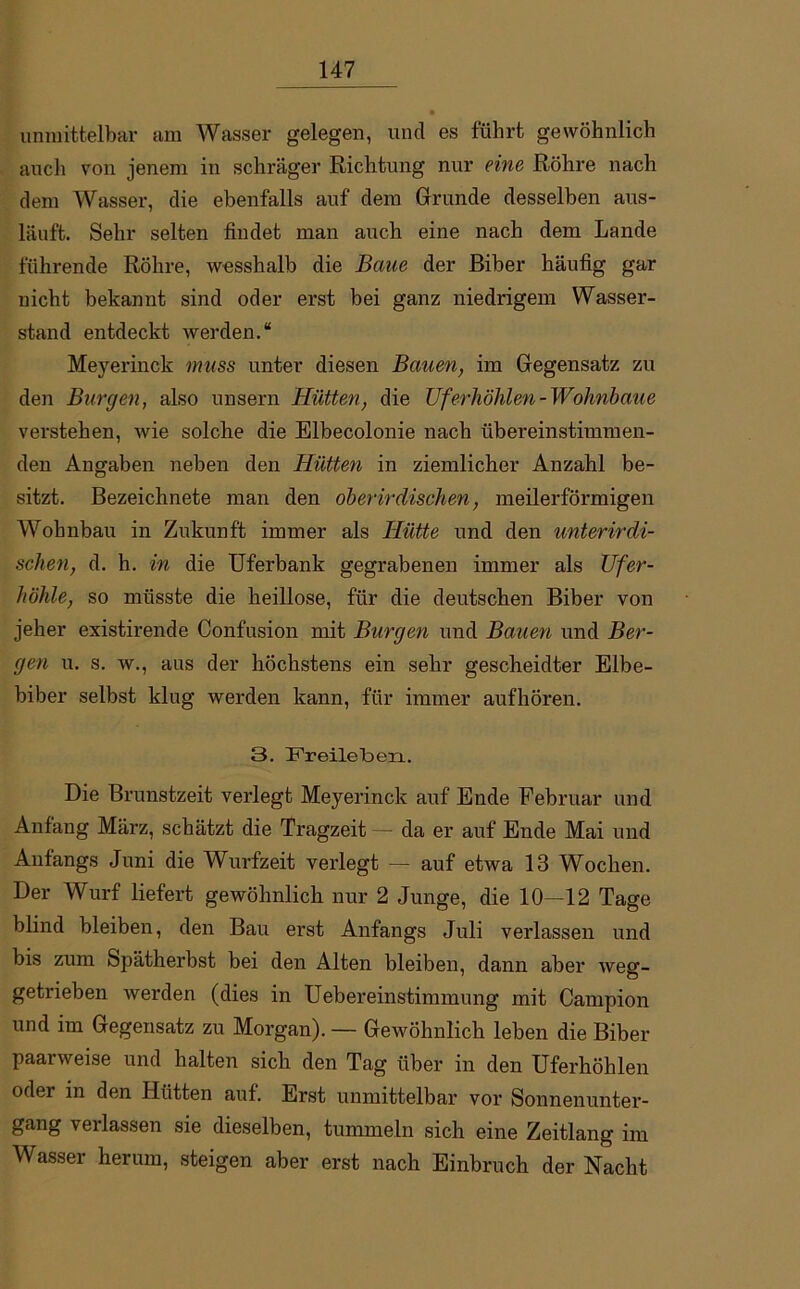 unmittelbar am Wasser gelegen, und es führt gewöhnlich auch von jenem in schräger Richtung nur eine Röhre nach dem Wasser, die ebenfalls auf dem Grunde desselben aus- läuft. Sehr selten findet man auch eine nach dem Lande führende Röhre, wesshalb die Baue der Biber häufig gar nicht bekannt sind oder erst bei ganz niedrigem Wasser- stand entdeckt werden.“ Meyerinck muss unter diesen Bauen, im Gegensatz zu den Burgen, also unsern Hütten, die TJferhöhten-Wohnbaue verstehen, wie solche die Elbecolonie nach übereinstimmen- den Angaben neben den Hütten in ziemlicher Anzahl be- sitzt. Bezeichnete man den oberirdischen, meilerförmigen Wohnbau in Zukunft immer als Hütte und den unterirdi- schen, d. h. in die Uferbank gegrabenen immer als TJfer- höhle, so müsste die heillose, für die deutschen Biber von jeher existirende Confusion mit Burgen und Bauen und Ber- gen u. s. w., aus der höchstens ein sehr gescheidter Elbe- biber selbst klug werden kann, für immer aufhören. 3. Freilelbexi. Die Brunstzeit verlegt Meyerinck auf Ende Februar und Anfang März, schätzt die Tragzeit — da er auf Ende Mai und Anfangs Juni die Wurfzeit verlegt — auf etwa 13 Wochen. Der Wurf liefert gewöhnlich nur 2 Junge, die 10—12 Tage blind bleiben, den Bau erst Anfangs Juli verlassen und bis zum Spätherbst bei den Alten bleiben, dann aber weg- getrieben werden (dies in Uebereinstimmung mit Campion und im Gegensatz zu Morgan). — Gewöhnlich leben die Biber paarweise und halten sich den Tag über in den Uferhöhlen oder in den Hütten auf. Erst unmittelbar vor Sonnenunter- gang verlassen sie dieselben, tummeln sich eine Zeitlang im Wasser herum, steigen aber erst nach Einbruch der Nacht