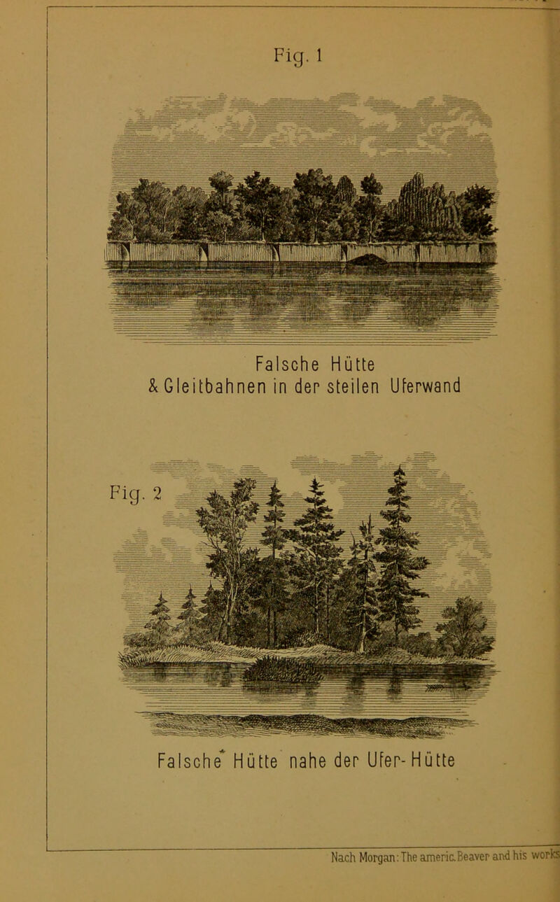 Fig. 1 Falsche Hütte & Gleitbahnen in der steilen Uferwand Falsche* Hütte nahe der Ufer-Hütte