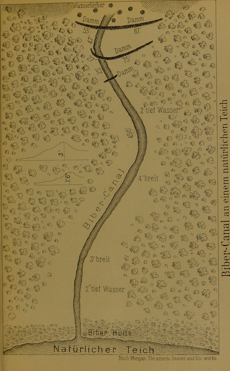 £0 - »3 -au o , # SS“ 1'6 0 $£> o & » © 1 ® «f£ 1^ & *1 » « ifv3' & ff3 #& «* * € © <&* P «?5 ^ ^ ®Ö <ä S 2 tief Wasser wfo*^ k . ^1 ^ C °.^ fötto «p £> ®l3^ £ 10 <ö ^ fi ,« ö © ß _ W, '*C-r *>-' _ SJ £3 «3 • * ^ £\o £° ^ * «in lA Cu w £3 <ß> ^ 43 ^ r c,® ^ 4'breit fc s& i& $g> ° -0 ■ <^2 &> r^*S itifT C CD E- ,«y fiTj^ f5 ®°>&V e CD -2: CD C- o CD «o,^ § -«e^io„ *a jj, ° «g ® *° ft ®8? «s§ ®~ |a, ’ f§5 3 r3 * ^ - «V ^ „« jfh , *?> ffii » «P, -Ü cd cd ■H v* &2 l W - »üD, <&&,® V *’“fe.’iö«^-«a- £ ®,« %;© | « ® '“Q <b S3 «Ci @> ® — «■ <© «& «v, 2 tief Wasser - * » « Sj ^ ^ «j & & £i, <? ^ <’f' * J=> s