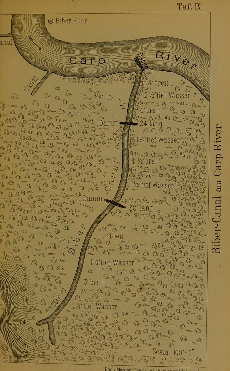 ;< 4'breit’ öj ö £ 2 Wtief Wasser ifc 4 open a r p» 24'lang ff.- tem'tief Wasser^ a?a ”.*-a.a^a««a>äe. 4',/2'bpeit 3 a b“2 a^V**»fc$ >3-5’ a~ü ^a3?®»9“o ■ W't.efWasser^f 30'lang , «£*§& >\\V///A Damm- »\\\l»//' O1»' Damm AMI//, J'XsV»/// l‘/2'tief Wasser IV2' tief Wasser 4M Hl»/* ^ ^ ^ ^Cctife Hk ^ \ A\V/,. _ d ^ j-v Biber-Canal am Carp River.