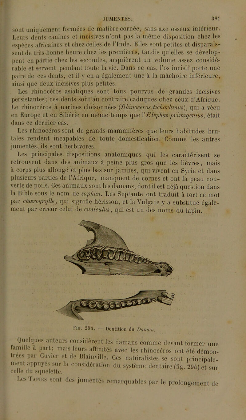 sont uniquement formées de matière cornée, sans axe osseux intérieur. Leurs dents canines et incisives n’ont pas la môme disposition chez les espèces africaines et chez celles de l’Inde. Elles sont petites et disparais- sent de très-bonne heure chez les premières, tandis qu’elles se dévelop- pent en partie chez les secondes, acquièrent un volume assez considé- rable et servent pendant toute la vie. Dans ce cas, l’os incisif porte une paire de ces dents, et il y en a également, une à la mâchoire inférieure, ainsi que deux incisives plus petites. Les rhinocéros asiatiques sont tous pourvus de grandes incisives persistantes; ces dents sont au contraire caduques chez ceux d’Afrique; Le rhinocéros à narines cloisonnées {Rhinocéros tichorhinus), qui a vécu en Europe et en Sibérie en même temps que YElephas primigenius, était dans ce dernier cas. Les rhinocéros sont de grands mammifères que leurs habitudes bru- tales rendent incapables de toute domestication. Comme les autres jumentés, ils sont herbivores. Les principales dispositions anatomiques qui les caractérisent se retrouvent dans des animaux à peine plus gros que les lièvres, mais à corps plus allongé et plus bas sur jambes, qui vivent en Syrie et dans plusieurs parties de l’Afrique, manquent de cornes et ont la peau cou- verte de poils. Ces animaux sont les damans, dont il est déjà question dans la Bible sous le nom de saphan. Les Septante ont traduit à tort ce mot par chœrogrylle, qui signifie hérisson, et la Vulgate y a substitué égale- ment par erreur celui de cuniculus, qui est un des noms du lapin. Quelques auteurs considèrent les damans comme devant former une lamdle a part; mais leurs affinités avec les rhinocéros ont été démon- trées par Cuvier et de Blainville. Ces naturalistes se sont principale- ment appuyés sur la considération du système dentaire (fig. 296) et sur celle du squelette. ' LcsTai-iks sont des jumentés remarquables par le prolongement de