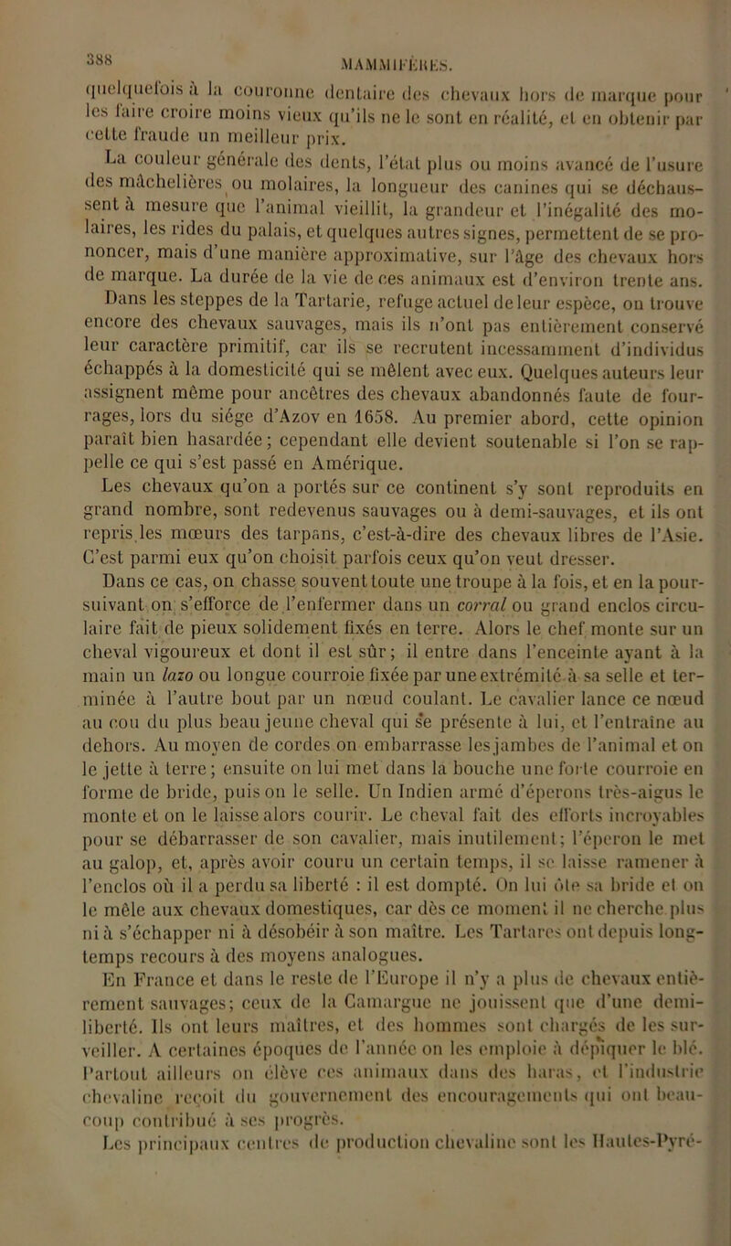 MAMMU-'ÈHES. quelquefois à la couronne dentaire îles chevaux hors de marque pour les laire croire moins vieux qu’ils ne le sont en réalité, et en obtenir par eelLe fraude un meilleur prix. La couleur générale des dents, l’état plus ou moins avancé de l’usure des mûchelièresou molaires, la longueur des canines qui se déchaus- sent à mesure que l’animal vieillit, la grandeur et l’inégalité des mo- laires, les rides du palais, et quelques autres signes, permettent de se pro- noncer, mais d une manière approximative, sur l’âge des chevaux hors de marque. La durée de la vie de ces animaux est d’environ trente ans. Dans les steppes de la Tartarie, refuge actuel de leur espèce, on trouve encore des chevaux sauvages, mais ils n’ont pas entièrement conservé leur caractère primitif, car ils se recrutent incessamment d’individus échappes à la domesticité qui se mêlent avec eux. Quelques auteurs leur assignent môme pour ancêtres des chevaux abandonnés faute de four- rages, lors du siège d’Azov en 1658. Au premier abord, cette opinion paraît bien hasardée; cependant elle devient soutenable si l’on se rap- pelle ce qui s’est passé en Amérique. Les chevaux qu’on a portés sur ce continent s’y sont reproduits en grand nombre, sont redevenus sauvages ou à demi-sauvages, et ils ont repris.les mœurs des tarpans, c’est-à-dire des chevaux libres de l’Asie. C’est parmi eux qu’on choisit parfois ceux qu’on veut dresser. Dans ce cas, on chasse souvent toute une troupe à la fois, et en la pour- suivant on s’efforce de.l’enfermer dans un corral ou grand enclos circu- laire fait de pieux solidement fixés en terre. Alors le chef monte sur un cheval vigoureux et dont il est sûr; il entre dans l’enceinte ayant à la main un lazo ou longue courroie fixée par une extrémité à sa selle et ter- minée à l’autre bout par un nœud coulant. Le cavalier lance ce nœud au cou du plus beau jeune cheval qui se présente à lui, et l’entraîne au dehors. Au moyen de cordes on embarrasse les jambes de l’animal et on le jette à terre ; ensuite on lui met dans la bouche une forte courroie en forme de bride, puis on le selle. Un Indien armé d’éperons très-aigus le monte et on le laisse alors courir. Le cheval fait des efforts incroyables pour se débarrasser de son cavalier, mais inutilement; l’éperon le met au galop, et, après avoir couru un certain temps, il se laisse ramener à l’enclos où il a perdu sa liberté : il est dompté. On lui ôte sa bride et on le mêle aux chevaux domestiques, car dès ce moment il ne cherche.plus ni à s’échapper ni à désobéir à son maître. Les Tartares ont depuis long- temps recours à des moyens analogues. En France et dans le reste de l’Europe il n’y a plus de chevaux entiè- rement sauvages; ceux de la Camargue ne jouissent que d’une demi- liberté. Ils ont leurs maîtres, et des hommes sont chargés de les sur- veiller. A certaines époques de l’année on les emploie à dépiquer le blé. Partout ailleurs ou élève ces animaux dans des haras, et l’industrie chevaline reçoit du gouvernement des encouragements qui ont beau- coup contribué à ses progrès. Les principaux centres de production chevaline sont les Haules-Pyré-