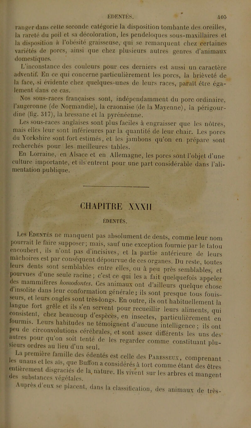édentés. h 05 ranger dans celte seconde catégorie la disposition tombante des oreilles, la rareté du poil et sa décoloration, les pendeloques sous-maxillaires et la disposition à l’obésité graisseuse, qui se remarquent, (‘liez certaines variétés de porcs, ainsi que chez plusieurs autres genres d’animaux domestiques. L’inconstance des couleurs pour ces derniers est aussi un caractère adventif. En ce qui concerne particulièrement les porcs, la brièveté de la face, si évidente chez quelques-unes de leurs races, paraît être éga- lement dans ce cas. Nos sous-races françaises sont, indépendamment du porc ordinaire, l’augeronne (de Normandie), la craonaise (de la Mayenne), la périgour- dine (fig. 317), la bressane et la pyrénéenne. Les sous-races anglaises sont plus faciles à engraisser que les nôtres, mais elles leur sont inférieures par la quantité de leur chair. Les porcs du Yorkshire sont fort estimés, et les jambons qu’on en prépare sont recherchés pour les meilleures tables. En Lorraine, en Alsace et en Allemagne, les porcs sont l’objet d’une culture importante, et ils entrent pour une part considérable dans l’ali- mentation publique. CHAPITRE XXXII ÉDENTÉS. Les Édentés ne manquent pas absolument de dents, comme leur nom pourrait le faire supposer; mais, sauf une exception fournie par le tatou encoubert, ds n’ont pas d’incisives, et la partie antérieure de leurs mâchoires est par conséquent dépourvue de ces organes. Du reste toutes leurs dents sont semblables entre elles, ou à peu près semblables, et pourvues d une seule racine; c’est ce qui les a fait quelquefois appeler des mammifères homodontes. Ces animaux ont d’ailleurs quelque chose d insolite dans leur conformation générale; ils sont presque tous fouis- seurs, et leurs ongles sont très-longs. En outre, ils ont habituellement la angue fort grêle et ils s’en servent pour recueillir leurs aliments, qui consistent, chez beaucoup d’espèces, en insectes, particulièrement en ourmis. Leurs habitudes ne témoignent d’aucune intelligence; ils ont put de circonvolutions cérébrales, et sont assez différents les uns des autres pour qu’on soit tenté de les regarder comme constituant plu- sieurs ordres au lieu d un seul. La première famille des édentés est celle des Paresseux, comprenant entièr^rT !fS ^ vUe 1ÜU)ff°n a considérés à tort connue étant des êtres des h ?n 1 ISgraCIÜS,de a*nature- Ils vivent sur les arbres el mangent des substances végétales. Auprès d’eux se placent, dans la classification, des animaux de très-