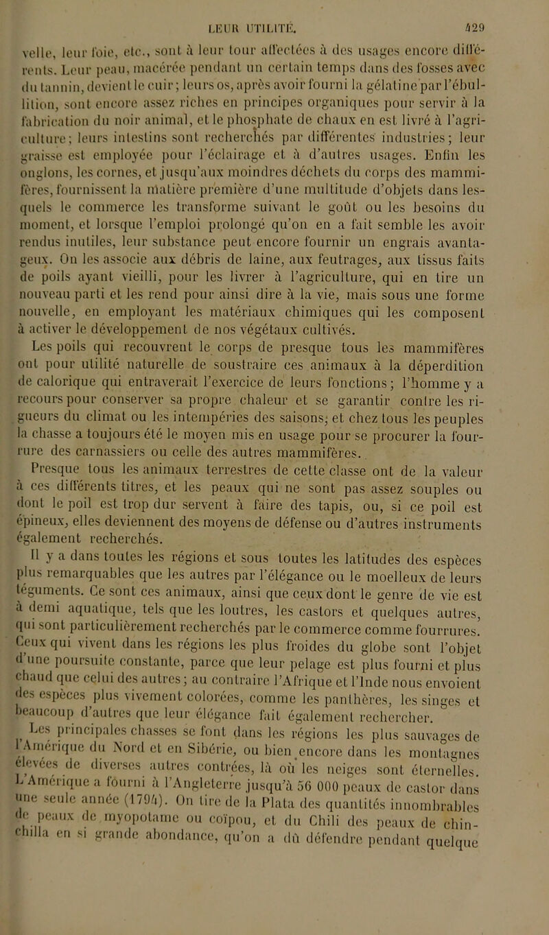 velle, leur foie, etc., sont à leur tour affectées à îles usages encore diffé- rents. Leur peau, macérée pendant un certain temps dans des fosses avec du lannin, devient le cuir; leurs os, après avoir fourni la gélatine par l’ébul- lition, sont encore assez riches en principes organiques pour servir à la fabrication du noir animal, et le phosphate de chaux en est livré à l’agri- culture; leurs intestins sont, recherchés par différentes' industries; leur graisse est employée pour l’éclairage et d’autres usages. Enfin les onglons, les cornes, et jusqu’aux moindres déchets du corps des mammi- fères, fournissent. la matière première d’une multitude d’objets dans les- quels le commerce les transforme suivant le goût ou les besoins du moment, et lorsque l’emploi prolongé qu’on en a fait semble les avoir rendus inutiles, leur substance peut encore fournir un engrais avanta- geux. On les associe aux débris de laine, aux feutrages, aux tissus faits de poils ayant vieilli, pour les livrer à l’agriculture, qui en tire un nouveau parti et les rend pour ainsi dire à la vie, mais sous une forme nouvelle, en employant les matériaux chimiques qui les composent à activer le développement de nos végétaux cultivés. Les poils qui recouvrent le corps de presque tous les mammifères ont pour utilité naturelle de soustraire ces animaux à la déperdition de calorique qui entraverait l’exercice de leurs fonctions; l’homme y a recours pour conserver sa propre chaleur et se garantir conlre les ri- gueurs du climat ou les intempéries des saisons; et chez tous les peuples la chasse a toujours été le moyen mis en usage pour se procurer la four- rure des carnassiers ou celle des autres mammifères. Presque tous les animaux terrestres de cette classe ont de la valeur à ces différents titres, et les peaux qui ne sont pas assez souples ou dont le poil est trop dur servent à faire des tapis, ou, si ce poil est épineux, elles deviennent des moyens de défense ou d’autres instruments également recherchés. Il y a dans toutes les régions et sous toutes les latitudes des espèces plus remarquables que les autres par l’élégance ou le moelleux de leurs téguments. Ce sont ces animaux, ainsi que ceux dont le genre de vie est a demi aquatique, tels que les loutres, les castors et quelques autres, qui sont particulièrement recherchés par le commerce comme fourrures. Ceux qui vivent dans les régions les plus froides du globe sont l’objet d une poursuite constante, parce que leur pelage est plus fourni et plus chaud que celui des autres ; au contraire l’Afrique et l’Inde nous envoient «les espèces plus vivement colorées, comme les panthères, les singes et beaucoup d’autres que leur élégance fait également rechercher. ' Les principales chasses se font dans les régions les plus sauvages de Amérique du Nord et en Sibérie, ou bien encore dans les montagnes cvées de diverses autres contrées, là où les neiges sont éternelles. L Amérique a fourni à l’Angleterre jusqu’à 56 000 peaux de castor dans «ne seule année (1704). On lire de la Plata des quantités innombrables de peaux de myopotame ou coïpou, et du Chili des peaux de ehin- c i la en si grande abondance, qu’on a dû défendre pendant quelque