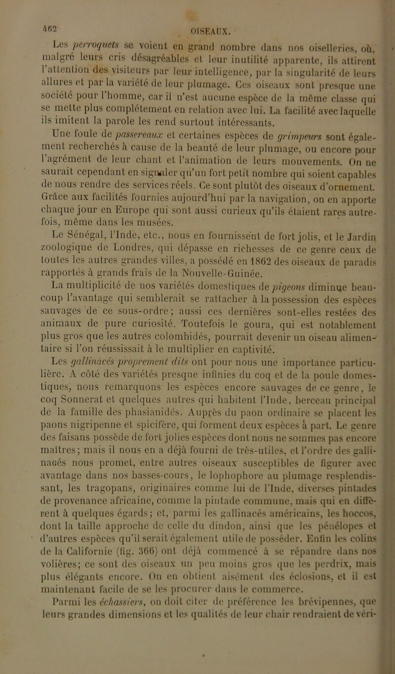 Les perroquets se voient en grand nombre dans nos oiselleries, où, malgré leurs cris désagréables et leur inutilité apparente, ils attirent 1 attention des visiteurs par leur intelligence, par la singularité de leurs allures et par la variété de leur plumage. Ces oiseaux sont presque une société pour 1 homme, car il n’est aucune espèce de la môme classe qui se mette plus complètement en relation avec lui. La facilité avec laquelle ils imitent la parole les rend surtout intéressants. Une foule de passereaux et certaines espèces de grimpeurs sont égale- ment recherchés à cause de la beauté de leur plumage, ou encore pour l’agrément de leur chant et l’animation de leurs mouvements. On ne saurait cependant en signaler qu’un fort petit nombre qui soient capables de nous rendre des services réels. Ce sont plutôt des oiseaux d’ornement. Grâce aux facilités fournies aujourd’hui par la navigation, on en apporte chaque jour en Europe qui sont aussi curieux qu’ils étaient rares autre- fois, même dans les musées. Le Sénégal, l’Inde, etc., nous en fournissent de fort jolis, et le Jardin zoologique de Londres, qui dépasse en richesses de ce genre ceux de toutes les autres grandes villes, a possédé en 1862 des oiseaux de paradis rapportés à grands frais de la Nouvelle-Guinée. La multiplicité de nos variétés domestiques de pigeons diminue beau- coup l’avantage qui semblerait se rattacher à la possession des espèces sauvages de ce sous-ordre; aussi ces dernières sont-elles restées des animaux de pure curiosité. Toutefois le goura, qui est notablement plus gros que les autres colomhidés, pourrait devenir un oiseau alimen- taire si l’on réussissait à le multiplier en captivité. Les gallinacés proprement dits ont pour nous une importance particu- lière. A côté des variétés presque infinies du coq et de la poule domes- tiques, nous remarquons les espèces encore sauvages de ce genre, le coq Sonnerai et quelques autres qui habitent l’Inde, berceau principal de la famille des phasianidés. Auprès du paon ordinaire se placent les paons nigripenne et spicifère, qui forment deux espèces à part. Le genre des faisans possède de fort jolies espèces dont nous ne sommes pas encore maîtres; mais il nous en a déjà fourni de très-utiles, et l’ordre des galli- nacés nous promet, entre autres oiseaux susceptibles de figurer avec avantage dans nos basses-cours, le lophophore au plumage resplendis- sant, les tragopans, originaires comme lui de l’Inde, diverses pintades de provenance africaine, comme la pintade commune, mais qui en diffè- rent à quelques égards; et, parmi les gallinacés américains, les hoccos, dont la taille approche de celle du dindon, ainsi que les pénélopes et d’autres espèces qu’il serait également utile de posséder. Enfin les colins de la Californie (lig. 366) ont déjà commencé à se répandre dans nos volières; ce sont des oiseaux un peu moins gros que les perdrix, mais plus élégants encore. On en obtient aisément des éclosions, et il est maintenant facile de se les procurer dans le commerce. Parmi les échassiers, on doit citer de préférence les brevipennes, que leurs grandes dimensions et les qualités de leur chair rendraient devéri-