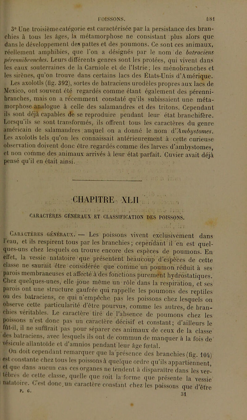 3° Une troisième catégorie est caractérisée par la persistance des bran- chies à tous les Ages, la métamorphose ne consistant plus alors que dans le développement des pattes et des poumons. Ce sont ces animaux, réellement amphibies, que l’on a désignés par le nom de batraciens pérennibranches. Leurs différents genres sont les protces, qui vivent dans les eaux souterraines de la Carniole et de l’Istrie; les ménobrancbes et les sirènes, qu’on trouve dans certains lacs des États-Unis d’Amérique. Les axolotls (lig. 392), sortes de batraciens urodèles propres aux lacs de Mexico, ont souvent été regardés comme étant également des pérenni- branches, mais on a récemment constaté qu’ils subissaient une méta- morphose analogue à celle des salamandres et des tritons. Cependant ils sont déjà capables de se reproduire pendant leur état branchifère. Lorsqu ils se sont transformés, ils offrent tous les caractères du genre américain de salamandres auquel on a donné le nom d’Ambystomes. Les axolotls tels qu’on les connaissait antérieurement à cette curieuse observation doivent donc être regardés comme des larves d’ambystomes, et non comme des animaux arrivés à leur état parfait. Cuvier avait déjà pensé qu’il en était ainsi. CHAPITRE XLII CARACTÈRES GÉNÉRAUX ET CLASSIFICATION DES POISSONS. Caractères généraux. — Les poissons vivent exclusivement dans l’eau, et ils respirent tous par les branchies; cependant il en est quel- ques-uns chez lesquels on trouve encore des espèces de poumons. En effet, la vessie natatoire que présentent beaucoup d’espèces de cette classe ne saurait être considérée que comme un poumon réduit à ses parois membraneuses et affecté à des fonctions purement hydrostatiques. Chez quelques-unes, elle joue môme un rôle dans la respiration, et ses parois ont une structure gaufrée qui rappelle les poumons des reptiles oii der, batraciens, ce qui n empêche pas les poissons chez lesquels on observe cette particularité d’être pourvus, comme les autres, de bran- chies véritables. Le caractère tiré de l’absence de poumons chez les poissons n’est donc pas un caractère décisif et constant; d’ailleurs le fût-il, il ne suffirait pas pour séparer ces animaux de ceux de la classe des batraciens, avec lesquels ils ont de commun de manquer à la fois de vésicule allantoïde et d’amnios pendant leur âge fœtal. On doit cependant remarquer que la présence des branchies (fig. I0à) est constante chez tous les poissons à quelque ordre qu’ils appartiennent et que dans aucun cas ces organes ne tendent à disparaître dans les ver- tèbres de celte classe, quelle que soit la forme que présente la vessie natatoire. Lest donc.un caractère constant chez les poissons que d’être P’ G’ 31