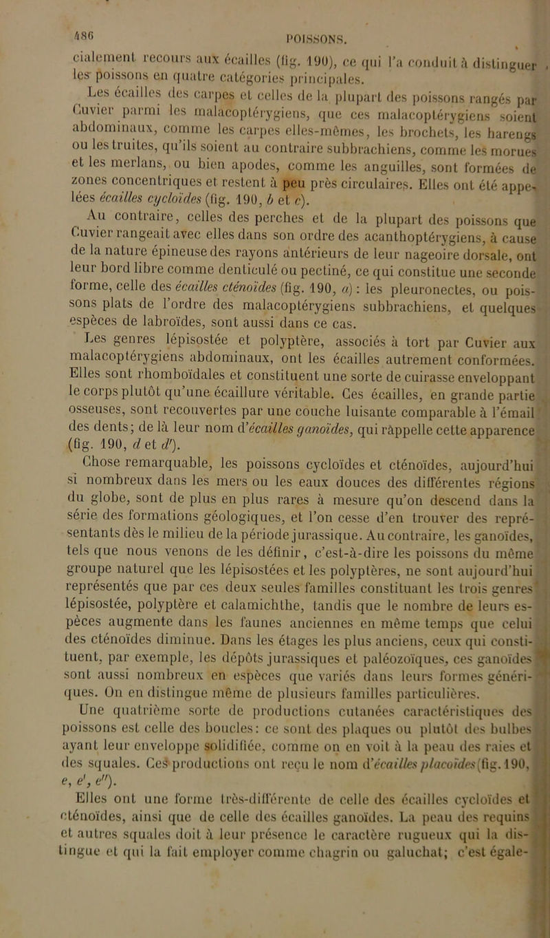 48G eialement recours aux écailles (ûg. 190), ce qui l’a conduit à distinguer les- poissons en quatre catégories principales. Les écailles des carpes et celles de la plupart des poissons rangés par Cuvier parmi les malacoptérygiens, que ces malacopLérygiens soient abdominaux, comme les carpes elles-mêmes, les brochets, les harengs ou les truites, qu ils soient au contraire subbrachiens, comme les morues et les merlans, ou bien apodes, comme les anguilles, sont formées de zones concentriques et restent à peu près circulaires. Elles ont été appe, lées écailles cycloïdes (fig. 190, b et c). Au contraire, celles des perches et de la plupart des poissons que Cu\iei langeait avec elles dans son ordre des acanthoptérygiens, à cause de la nature épineuse des rayons antérieurs de leur nageoire dorsale, ont leur bord libre comme denticulé ou pecliné, ce qui constitue une seconde forme, celle des écailles cténoïdes (fig. 190, a) : les pleuronectes, ou pois- sons plats de l’ordre des malacoptérygiens subbrachiens, et quelques espèces de labroïdes, sont aussi dans ce cas. Les genres lépisostée et polyptère, associés à tort par Cuvier aux malacoptérygiens abdominaux, ont les écailles autrement conformées. Elles sont rhomboïdales et constituent une sorte de cuirasse enveloppant le corps plutôt qu une écaillure véritable. Ces écailles, en grande partie osseuses, sont recouvertes par une couche luisante comparable à l’émail des dents; de là leur nom t’écailles ganoïdes, qui rappelle cette apparence (fig. 190, d et d'). Chose remarquable, les poissons cycloïdes et cténoïdes, aujourd’hui si nombreux dans les mers ou les eaux douces des différentes régions du globe, sont de plus en plus rares à mesure qu’on descend dans la série des formations géologiques, et l’on cesse d’en trouver des repré- sentants dès le milieu de la période jurassique. Au contraire, les ganoïdes, tels que nous venons de les définir, c’est-à-dire les poissons du même groupe naturel que les lépisostées et les polyplères, ne sont aujourd’hui représentés que par ces deux seules familles constituant les trois genres' lépisostée, polyptère et calamichthe, tandis que le nombre de leurs es- pèces augmente dans les faunes anciennes en même temps que celui des cténoïdes diminue. Dans les étages les plus anciens, ceux qui consti- tuent, par exemple, les dépôts jurassiques et paléozoïques, ces ganoïdes] sont aussi nombreux en espèces que variés dans leurs formes généri- ques. On en distingue même de plusieurs familles particulières. Une quatrième sorte de productions cutanées caractéristiques des poissons est celle des boucles: ce sont des plaques ou plutôt des bulbes ayant leur enveloppe solidifiée, comme on en voit à la peau des raies et des squales. Ce$ productions ont reçu le nom d’écaillesplacoïdes[ûg. 190, e, e', e). Elles ont une forme très-différente de celle des écailles cycloïdes et cténoïdes, ainsi que de celle des écailles ganoïdes. La peau des requins et autres squales doit à leur présence le caractère rugueux qui la dis- tingue et qui la fait employer comme chagrin ou galuchat; c’est égale- '