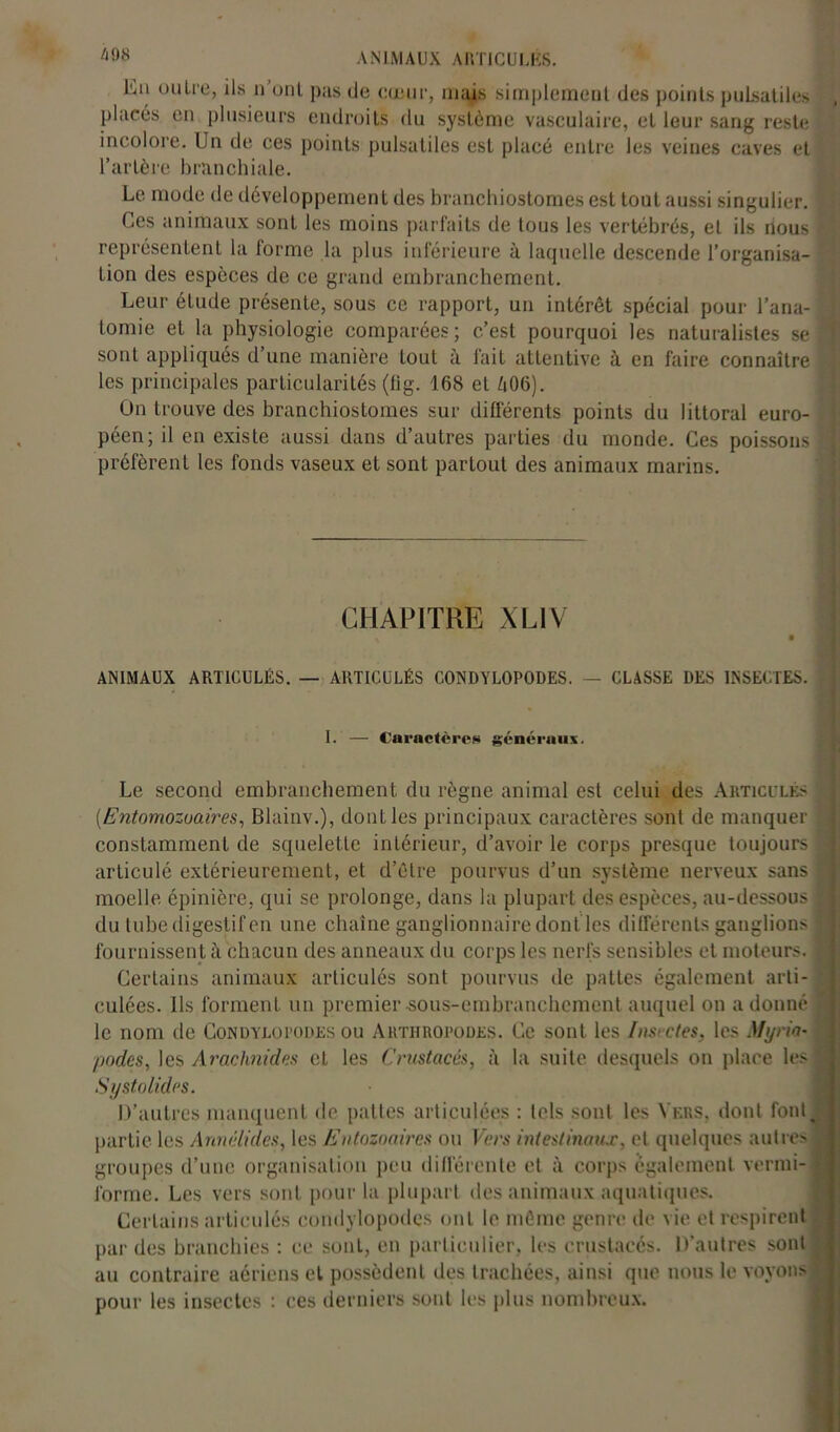 ANIMAUX ARTICULÉS. hn outre, ils n ont pas de cœur, mais simplement des points pulsatiles placés en plusieurs endroits du système vasculaire, et leur sang reste incolore. Un de ces points pulsatiles est placé entre les veines caves et l’artère branchiale. Le mode de développement des branchiostomes est tout aussi singulier. Ces animaux sont les moins parfaits de tous les vertébrés, et ils nous représentent la forme la plus inférieure à laquelle descende l’organisa- tion des espèces de ce grand embranchement. Leur étude présente, sous ce rapport, un intérêt spécial pour l’ana- tomie et la physiologie comparées ; c’est pourquoi les naturalistes se sont appliqués d une manière tout à fait attentive à en faire connaître les principales particularités (lig. 168 et /1O6). On trouve des branchiostomes sur différents points du littoral euro- péen; il en existe aussi dans d’autres parties du monde. Ces poissons préfèrent les fonds vaseux et sont partout des animaux marins. CHAPITRE XLIV > * ANIMAUX ARTICULÉS. — ARTICULÉS CONDYLOPODES. — CLASSE DES INSECTES. I. — Caractères généraux. Le second embranchement du règne animal est celui des Articules j (.Entomozoaires, Blainv.), dont les principaux caractères sont de manquer | constamment de squelette intérieur, d’avoir le corps presque toujours à articulé extérieurement, et d’être pourvus d’un système nerveux sans 1 moelle épinière, qui se prolonge, dans la plupart des espèces, au-dessous i du tube digestif en une chaîne ganglionnaire dont les différents ganglions f. fournissent à chacun des anneaux du corps les nerfs sensibles et moteurs. 1 Certains animaux articulés sont pourvus de pattes également arti- culées. Us forment un premier sous-embranchement auquel on adonné g le nom de Condyloi’odes ou Arthropodes. Ce sont les lus*ctes, les Myria- /iodes, les Arachnides et les Crustacés, à la suite desquels on place les | Systolides. D’autres manquent de pattes articulées : tels sont les Vers, dont font, partie les Annélides, les Entozoaires ou Vers intestinaux, et quelques autres J groupes d’une organisation peu différente et à corps également vernii-B forme. Les vers sont pour la plupart des animaux aquatiques. Certains articulés condylopodes ont le même genre de vie et respirent par des branchies : ce sonL, en particulier, les crustacés. D’autres sont ( au contraire aériens et possèdent des trachées, ainsi que nous le voyons f; pour les insectes : ces derniers sont les plus nombreux.