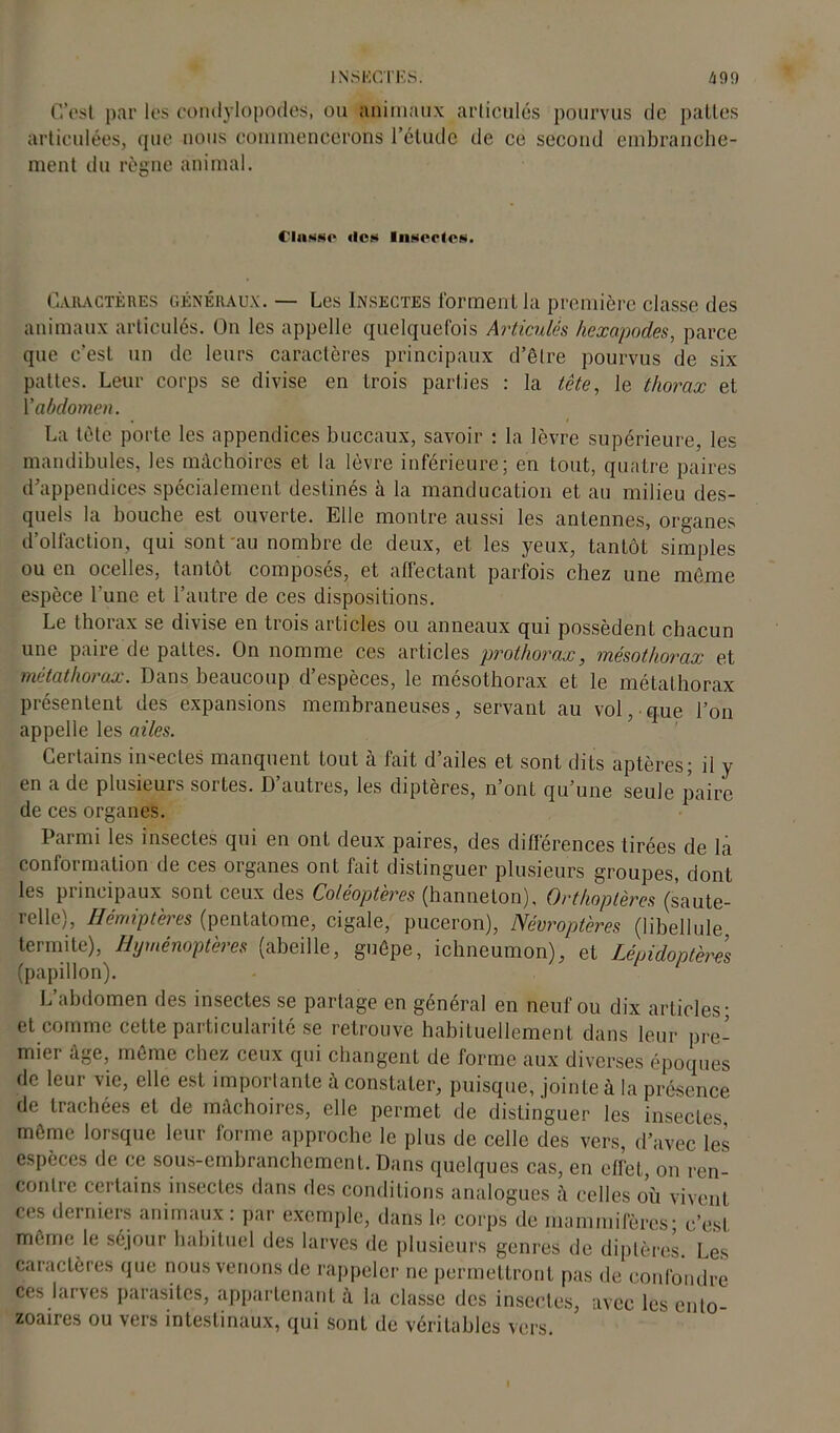 I NSKCiT’S. 490 C’est par les condylopodes, ou animaux articulés pourvus de pattes articulées, que nous commencerons l’élude de ce second embranche- ment du règne animal. CIunsp «les IiispcIpn. Caractères généraux. — Les Insectes lormentla première classe des animaux articulés. On les appelle quelquefois Articulés hexapodes, parce que c’est un de leurs caractères principaux d’être pourvus de six pattes. Leur corps se divise en trois parties : la tête, le thorax et Y abdomen. La tète porte les appendices buccaux, savoir : la lèvre supérieure, les mandibules, les mâchoires et la lèvre inférieure; en tout, quatre paires d’appendices spécialement destinés à la manducation et au milieu des- quels la bouche est ouverte. Elle montre aussi les antennes, organes d’olfaction, qui sont au nombre de deux, et les yeux, tantôt simples ou en ocelles, tantôt composés, et affectant parfois chez une même espèce l’une et l’autre de ces dispositions. Le thorax se divise en trois articles ou anneaux qui possèdent chacun une paire de pattes. On nomme ces articles prothorax, mésothorax et métathorax. Dans beaucoup d’espèces, le mésothorax et le métathorax présentent des expansions membraneuses, servant au vol, que l’on appelle les ailes. Certains infectes manquent tout à fait d’ailes et sont dits aptères; il y en a de plusieurs sortes. D’autres, les diptères, n’ont qu’une seule paire de ces organes. Parmi les insectes qui en ont deux paires, des ditlerences tirées de la conformation de ces organes ont fait distinguer plusieurs groupes, dont les principaux sont ceux des Coléoptères (hanneton). Orthoptères (saute- relle), Hémiptères (pentatome, cigale, puceron), Névroptères (libellule termite), Hyménoptères (abeille, guêpe, ichneumon), et Lépidoptères (papillon). L’abdomen des insectes se partage en général en neuf ou dix articles; et comme cette particularité se retrouve habituellement dans leur pre- mier âge, même chez ceux qui changent de forme aux diverses époques de leur vie, elle est importante à constater, puisque, jointe à la présence de trachées et de mâchoires, elle permet de distinguer les insectes môme lorsque leur forme approche le plus de celle des vers, d’avec les espèces de ce sous-embranchement. Dans quelques cas, en effet, on ren- contre certains insectes dans des conditions analogues celles où vivent ces derniers animaux : par exemple, dans le corps de mammifères; c’est même le séjour habituel des larves de plusieurs genres de diptères. Les caractères que nous venons de rappeler ne permettront pas de confondre ces larves parasites, appartenant à la classe des insectes, avec les ento- zoaires ou vers intestinaux, qui Sont de véritables vers.