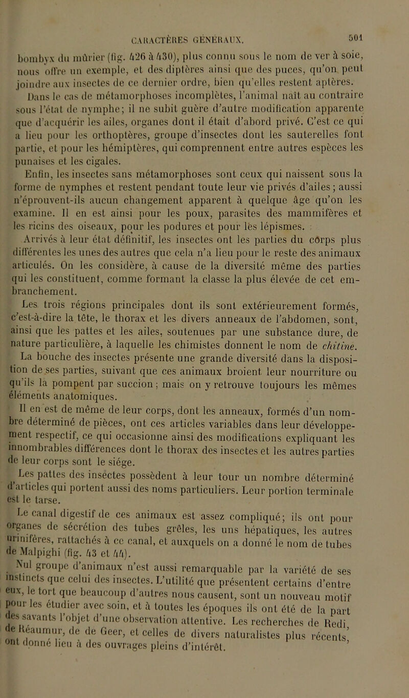 bombyx du mûrier (lig. 426 à 430), plus connu sous le nom de ver à soie, nous offre un exemple, et des diptères ainsi que des puces, qu’on peut joindre aux insectes de ce dernier ordre, bien qu’clles restent aptères. Dans le cas de métamorphoses incomplètes, l’animal naît au contraire sous l’état de nymphe; il ne subit guère d’autre modification apparente que d’acquérir les ailes, organes dont il était d’abord privé. C’est ce qui a lieu pour les orthoptères, groupe d’insectes dont les sauterelles font partie, et pour les hémiptères, qui comprennent entre autres espèces les punaises et les cigales. Enfin, les insectes sans métamorphoses sont ceux qui naissent sous la forme de nymphes et restent pendant toute leur vie privés d’ailes ; aussi n’éprouvent-ils aucun changement apparent à quelque âge qu’on les examine. Il en est ainsi pour les poux, parasites des mammifères et les ricins des oiseaux, pour les podures et pour lès lépismes. Arrivés à leur état définitif, les insectes ont les parties du corps plus différentes les unes des autres que cela n’a lieu pour le reste des animaux articulés. On les considère, à cause de la diversité même des parties qui les constituent, comme formant la classe la plus élevée de cet em- branchement. Les trois régions principales dont ils sont extérieurement formés, c’est-à-dire la tête, le thorax et les divers anneaux de l’ahdomen, sont, ainsi que les pattes et les ailes, soutenues par une substance dure, de nature particulière, à laquelle les chimistes donnent le nom de chitine. La bouche des insectes présente une grande diversité dans la disposi- tion de ses parties, suivant que ces animaux broient leur nourriture ou qu’ils là pompent par succion; mais on y retrouve toujours les mêmes éléments anatomiques. II en est de même de leur corps, dont les anneaux, formés d’un nom- bre déterminé de pièces, ont ces articles variables dans leur développe- ment respectif, ce qui occasionne ainsi des modifications expliquant les innombrables différences dont le thorax des insectes et les autres parties de leur corps sont le siège. > ^es Pattes des insectes possèdent à leur tour un nombre déterminé d aiticlesqui portent aussi des noms particuliers. Leur portion terminale est le tarse. Le canal digestif de ces animaux est assez compliqué; ils ont pour organes de sécrétion des tubes grêles, les uns hépatiques, les autres urinifères, rattachés à ce canal, et auxquels on a donné le nom de tubes de Malpighi (fig. 43 et 44). Nul groupe d’animaux n’est aussi remarquable par la variété de ses instincts que celui des insectes. L’utilité que présentent certains d’entre eux, le tort que beaucoup d’autres nous causent, sont un nouveau motif pom les étudier avec soin, et à toutes les époques ils ont été de la part es sayants 1 objet d une observation attentive. Les recherches de Redi e teaumur, de de Geer, et celles de divers naturalistes plus récents' ont donne heu à des ouvrages pleins d’intérêt.