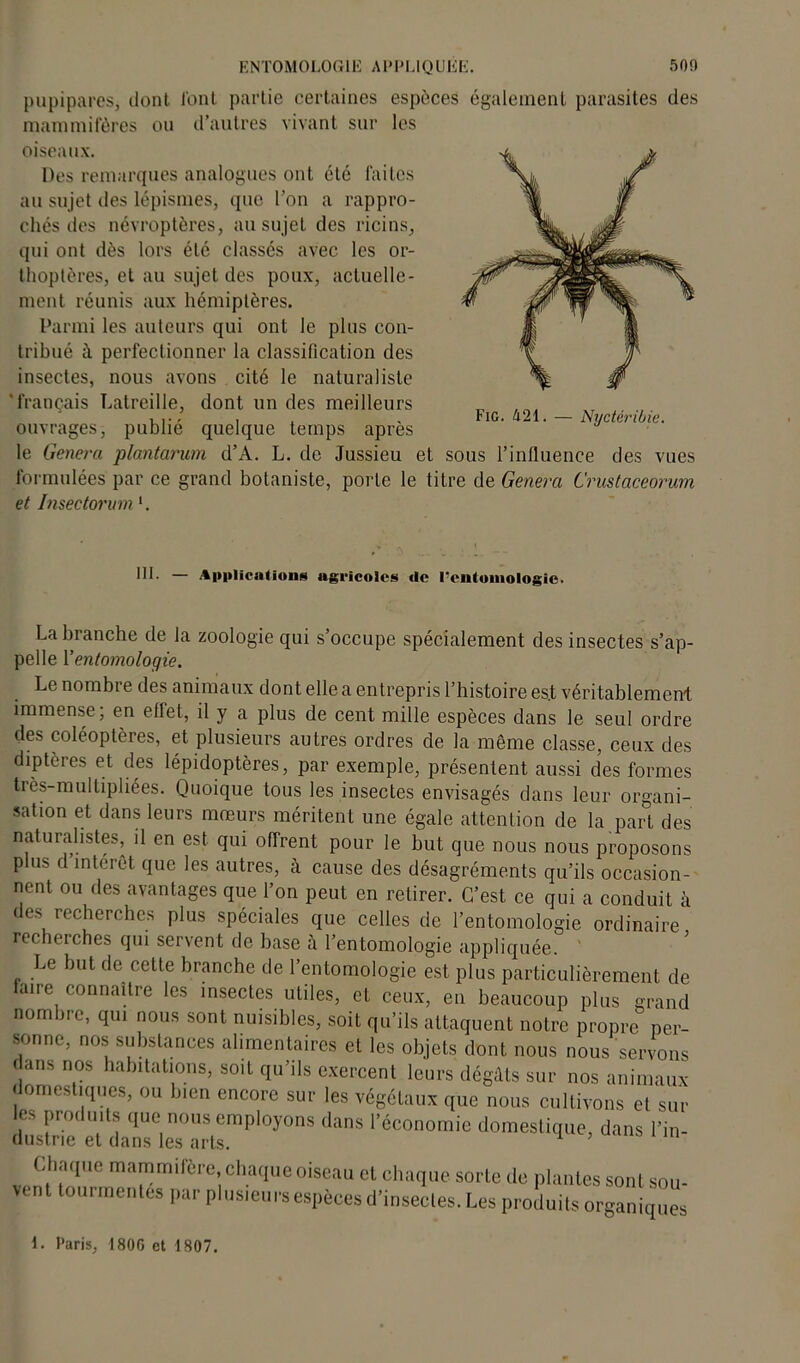 pupipares, dont font partie certaines espèces également parasites des mammifères ou d’autres vivant sur les oiseaux. Des remarques analogues ont été faites au sujet des lépismes, que l’on a rappro- chés des névroptères, au sujet des ricins, qui ont dès lors été classés avec les or- thoptères, et au sujet des poux, actuelle- ment réunis aux hémiptères. Parmi les auteurs qui ont le plus con- tribué â perfectionner la classification des insectes, nous avons cité le naturaliste 'français Latreille, dont un des meilleurs ouvrages, publié quelque temps après le Généra plantarum d’A. L. de Jussieu et sous l’influence des vues formulées par ce grand botaniste, porte le titre de Généra Crustaceorum et Insectorum '. Fie. à21. — Nyctéribie. III. — Applications agricoles de l'entomologie. La branche de la zoologie qui s’occupe spécialement des insec tes s’ap- pelle Y entomologie. Le nombie des animaux dont elle a entrepris l’histoire es.t véritablement immense; en effet, il y a plus de cent mille espèces dans le seul ordre des coléoptères, et plusieurs autres ordres de la même classe, ceux des diptères et des lépidoptères, par exemple, présentent aussi des formes très-multipliées. Quoique tous les insectes envisagés dans leur organi- sation et dans leurs mœurs méritent une égale attention de la part des naturalistes, il en est qui offrent pour le but que nous nous proposons plus d intérêt que les autres, à cause des désagréments qu’ils occasion- nent ou des avantages que l’on peut en retirer. C’est ce qui a conduit à des recherches plus spéciales que celles de l’entomologie ordinaire recherches qui servent de base à l’entomologie appliquée. Le but de cette branche de l’entomologie est plus particulièrement de faire connaître les insectes utiles, et ceux, en beaucoup plus grand nombre, qui nous sont nuisibles, soit qu’ils attaquent notre propre per- sonne, nos substances alimentaires et les objets dont nous nous'servons , s n,°S habltatl0ns> soit qu’ils exercent leurs dégâts sur nos animaux domestiques, ou bien encore sur les végétaux que nous cultivons el sur les produits que nous employons dans l’économie domestique, dans l’in- dustrie et dans les arts. Chaque mammifère, chaque oiseau cl chaque sorte de plantes sont sou- venttourmentés par plusieurs espèces d’insectes. Les produits organiques 1. Paris, 1806 et 1807.