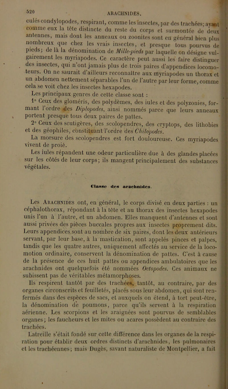 culés condylopodes, respirant, comme les insectes, par des trachées; avant comme eux la tête distincte du reste du corps et surmontée de deux antennes, mais dont les anneaux ou zoonites sont en général bien plus nombreux que chez les vrais insectes, et presque tous pourvus de pieds, de là la dénomination de Mille-pieds par laquelle on désigne vul- gairement les myriapodes. Ce caractère peut aussi les faire distinguer des insectes, qui n’ont jamais plus de trois paires d’appendices locomo- teurs. On ne saurait d’ailleurs reconnaître aux myriapodes un thorax et un abdomen nettement séparables 1 un de l’autre par leur forme, comme cela se voit chez les insectes hexapodes. Les principaux genres de cette classe sont : 1° Ceux des gloméris, des polydèmes, des iules et des polyzonies, for- mant l’ordre des Diplopodes, ainsi nommés parce que leurs anneaux portent presque tous deux paires de pattes. 2° Ceux des scutigères, des scolopendres, des eryptops, des lithobies et des géophiles, cbnstituant l’ordre des Chilopodes. La morsure des scolopendres est fort douloureuse. Ces myriapodes vivent de proié. Les iules répandent une odeur particulière due à des glandes placées sur les côtés de leur corps; ils mangent principalement des substances végétales. Classe des arachnides. Les Arachnides ont, en général, le corps divisé en deux parties : un céphalothorax, répondant à la tête et au thorax des insectes hexapodes unis l’un à l’autre, et un abdomen. Elles manquent d’antennes et sont aussi privées des pièces buccales propres aux insectes proprement dits. Leurs appendices sont au nombre de six paires, dont les deux antérieurs servant, par leur base, à la mastication, sont appelés pinces et palpes, tandis que les quatre autres, uniquement affectés au service de la loco- motion ordinaire, conservent la dénomination de pattes. C’est à cause de la présence de ces huit pattes ou appendices ambulatoires que les arachnides ont quelquefois été nommées Octopodes. Ces animaux ne subissent pas de véritables métamorphoses. Us respirent tantôt par des trachées, tantôt, au contraire, par des organes circonscrits et feuilletés, placés sous leur abdomen, qui sont ren- fermés dans des espèces de sacs, et auxquels on étend, à tort peut-être, la dénomination de poumons, parce qu’ils servent à la respiration aérienne. Les scorpions et les araignées sont pourvus de semblables organes; les faucheurs et les mites ou acares possèdent au contraire des trachées. Latreille s’était fondé sur cette différence dans les organes de la respi- ration pour établir deux ordres distincts d’arachnides, les pulmonaires et les trachéennes; mais Dugôs, savant naturaliste de Montpellier, a fait