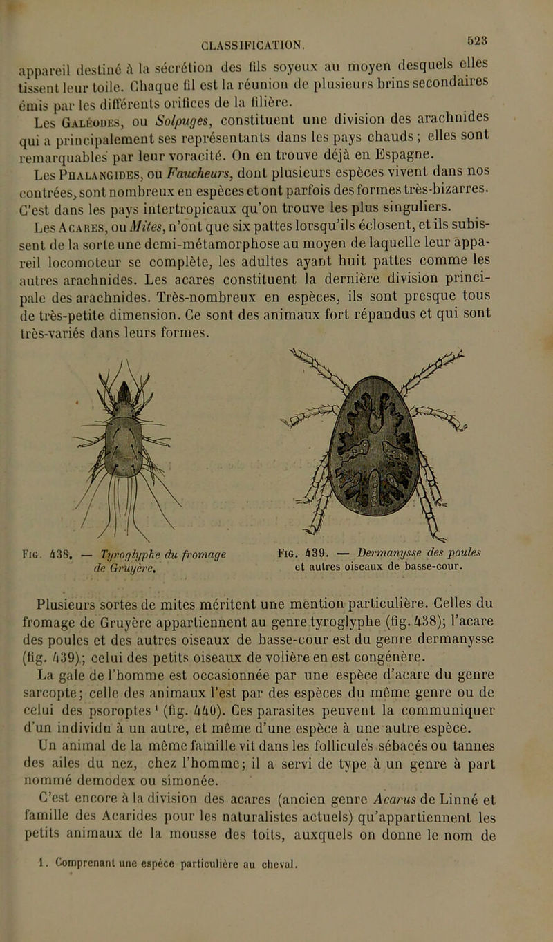 appareil destiné à la sécrétion des (ils soyeux au moyen desquels elles tissent leur toile. Chaque lil est la réunion de plusieurs brins secondaires émis par les différents orifices de la filière. Les Galéodes, ou Solpuges, constituent une division des arachnides qui a principalement ses représentants dans les pays chauds; elles sont remarquables par leur voracité. On en trouve déjà en Espagne. Les Phalangides, ou Faucheurs, dont plusieurs espèces vivent dans nos contrées, sont nombreux en espèces et ont parfois des formes très-bizarres. C’est dans les pays intertropicaux qu’on trouve les plus singuliers. Les Acares, ou Mites, n’ont que six pattes lorsqu’ils éclosent, et ils subis- sent de la sorte une demi-métamorphose au moyen de laquelle leur appa- reil locomoteur se complète, les adultes ayant huit pattes comme les autres arachnides. Les acares constituent la dernière division princi- pale des arachnides. Très-nombreux en espèces, ils sont presque tous de très-petite dimension. Ce sont des animaux fort répandus et qui sont très-variés dans leurs formes. Plusieurs sortes de mites méritent une mention particulière. Celles du fromage de Gruyère appartiennent au genre tyroglyphe (fig.A38); l’acare des poules et des autres oiseaux de basse-cour est du genre dermanysse (fig. è39); celui des petits oiseaux de volière en est congénère. La gale de l’homme est occasionnée par une espèce d’acare du genre sarcopte; celle des animaux l’est par des espèces du même genre ou de celui des psoroptes 1 (fig. à40). Ces parasites peuvent la communiquer d’un individu à un autre, et même d’une espèce à une auLre espèce. Un animal de la même famille vit dans les follicules sébacés ou tannes des ailes du nez, chez l’homme; il a servi de type à un genre à part nommé demodcx ou simonée. C’est encore à la division des acares (ancien genre A car us de Linné et famille des Acarides pour les naturalistes actuels) qu’appartiennent les petits animaux de la mousse des toits, auxquels on donne le nom de 1. Comprenant une espèce particulière au cheval. Fig. 438. — Tyroglyphe du fromage de Gruyère. Fig. 439. — Dermanysse des poules et autres oiseaux de basse-cour.