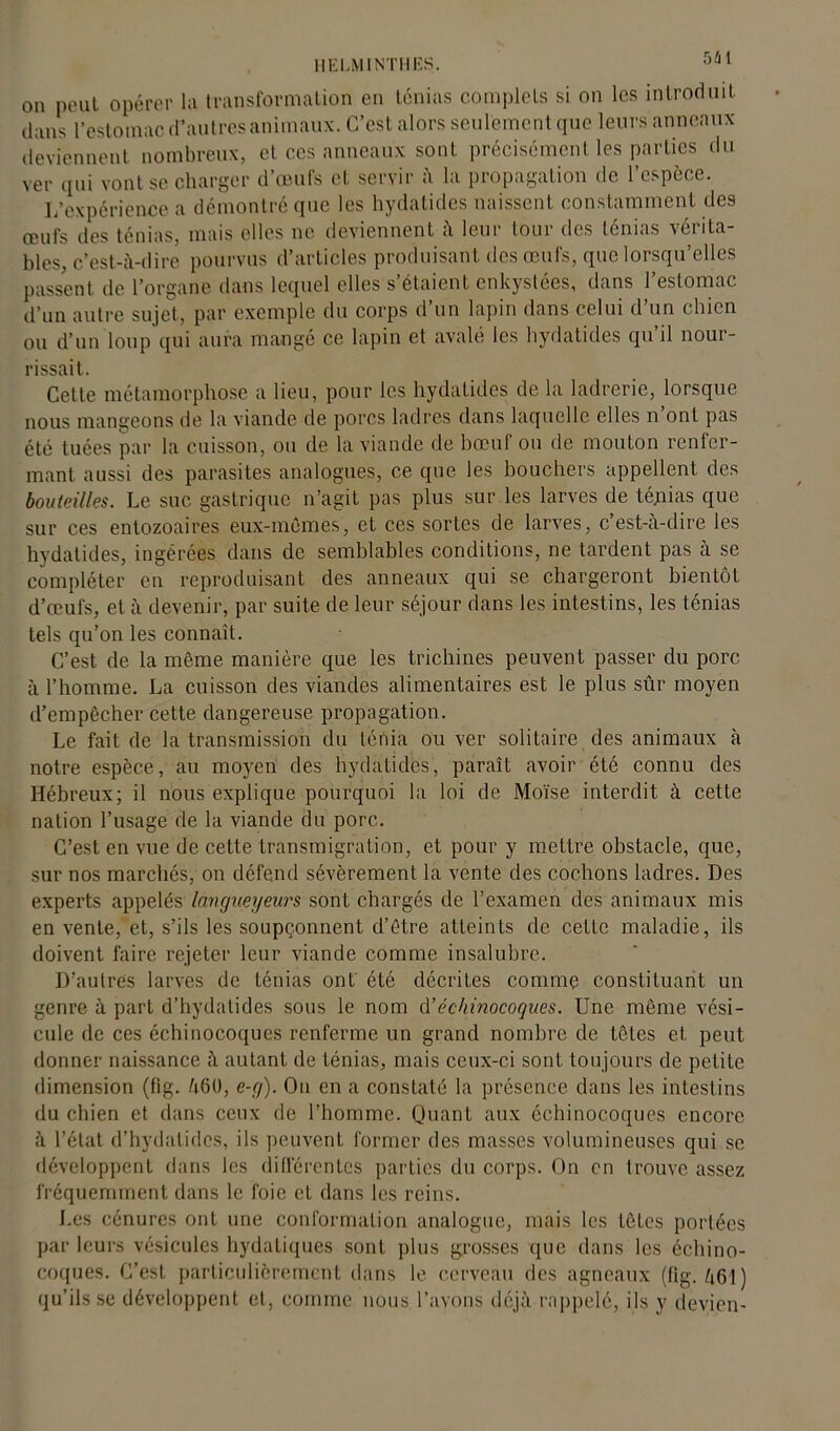 HELMINTHES. °ai on peut opérer la transformation en ténias complets si on les introduit dans l’estomac d’autres animaux. C’est alors seulement que leurs anneaux deviennent nombreux, et ces anneaux sont précisément les parties du ver qui vont se charger d’œufs et servir à la propagation de l’espèce. L’expérience a démontré que les hydatides naissent constamment des œufs des ténias, mais elles ne deviennent à leur tour des ténias vérita- bles, c’est-à-dire pourvus d’articles produisant des œufs, que lorsqu’elles passent de l’organe dans lequel elles s’étaient enkystées, dans l’estomac d’un autre sujet, par exemple du corps d’un lapin dans celui d’un chien ou d’un loup qui aura mangé ce lapin et avalé les hydatides qu’il nour- rissait. Cette métamorphose a lieu, pour les hydatides de la ladrerie, lorsque nous mangeons de la viande de porcs ladres dans laquelle elles n ont pas été tuées par la cuisson, ou de la viande de bœuf ou de mouton renfer- mant aussi des parasites analogues, ce que les bouchers appellent des bouteilles. Le suc gastrique n’agit pas plus sur les larves de ténias que sur ces entozoaires eux-mêmes, et ces sortes de larves, c’est-à-dire les hydatides, ingérées dans de semblables conditions, ne tardent pas à se compléter en reproduisant des anneaux qui se chargeront bientôt d’œufs, et à devenir, par suite de leur séjour dans les intestins, les ténias tels qu’on les connaît. C’est de la même manière que les trichines peuvent passer du porc à l’homme. La cuisson des viandes alimentaires est le plus sûr moyen d’empêcher cette dangereuse propagation. Le fait de la transmission du ténia ou ver solitaire des animaux à notre espèce, au moyen des hydatides, paraît avoir été connu des Hébreux; il nous explique pourquoi la loi de Moïse interdit à cette nation l’usage de la viande du porc. C’est en vue de cette transmigration, et pour y mettre obstacle, que, sur nos marchés, on défend sévèrement la vente des cochons ladres. Des experts appelés langueyeurs sont chargés de l’examen des animaux mis en vente, et, s’ils les soupçonnent d’être atteints de cette maladie, ils doivent faire rejeter leur viande comme insalubre. D’autres larves de ténias ont été décrites comme constituant un genre à part d’hydalides sous le nom d'échinocoques. Une même vési- cule de ces échinocoques renferme un grand nombre de têtes et, peut donner naissance à autant de ténias, mais ceux-ci sont toujours de petite dimension (fig. h60, e-y). On en a constaté la présence dans les intestins du chien et dans ceux de l’homme. Quant aux échinocoques encore à l’état d’hydalides, ils peuvent former des masses volumineuses qui se développent dans les différentes parties du corps. On en trouve assez fréquemment dans le foie et dans les reins. Les cénures ont une conformation analogue, mais les têtes portées par leurs vésicules hydatiques sont plus grosses que dans les échino- coques. C’est particulièrement dans le cerveau des agneaux (fig. /|61 ) qu’ils se développent et, comme nous l’avons déjà rappelé, ils y devien-