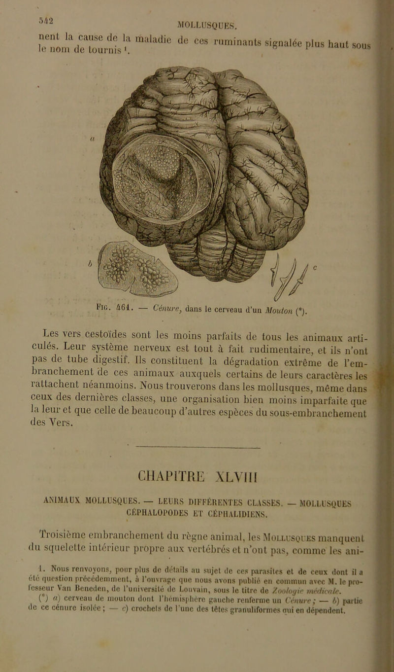 5/i2 nent la cause de la le nom de tournis mollusques. maladie de ces ruminants signalée plus haut sous Les veis cestoïdes sont les moins parfaits de tous les animaux arti- culés. Leur système nerveux est tout à fait rudimentaire, et ils n’ont pas de tube digestif. Ils constituent la dégradation extrême de l’em- branchement de ces animaux auxquels certains de leurs caractères les 1 attachent néanmoins. Nous trouverons dans les mollusques, même dans ceux des dernières classes, une organisation bien moins imparfaite que la leui et que celle de beaucoup d’autres espèces du sous-embranchement des Vers. CHAPITRE XLVIII ANIMAUX MOLLUSQUES. — LEURS DIFFÉRENTES CLASSES. — MOLLUSQUES CÉPHALOPODES ET CËPHAL1DIENS. I troisième embranchement du règne animal, les Mollusques manquent du squelette intérieur propre aux vertébrés et n’ont pas, comme les ani- 1. Nous rcnvojons, pour plus de details au sujet de ces parasiles el de ceux dont il a été question précédemment, a 1 ouvrage que nous avons public en commun avec M. le pro- fesseur Van Bcneden, de l’université de Louvain, sous le titre de Zoologie médicale. C) a) cerveau de mouton dont l’hémisphère gauche renferme un Cénurc; — b) patlic de ce cénurc isolée ; — e) crocliels de l’une des têtes granuliformes oui en dépendent.