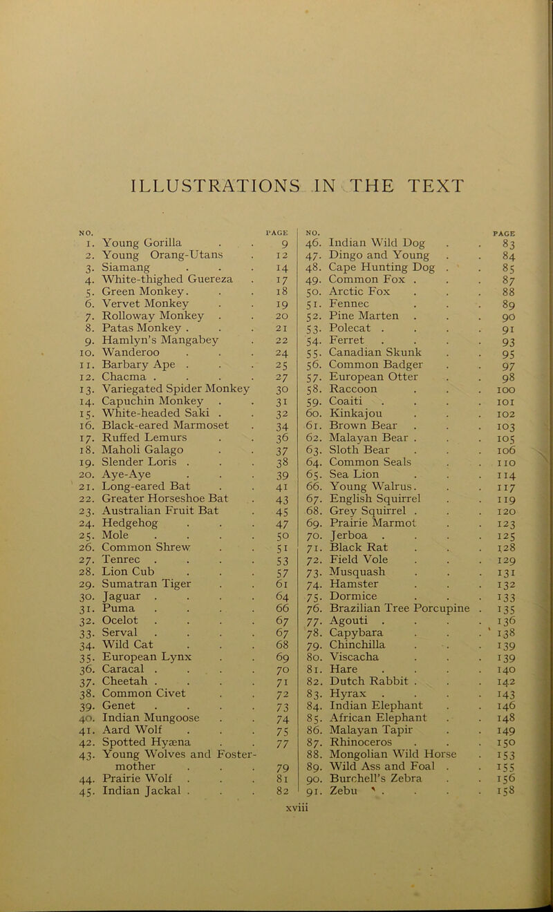 ILLUSTRATIONS IN THE TEXT NO. I. Young Gorilla I’AGE 9 NO. 46. Indian Wild Uog PAGE • 83 2. Young Orang-Utans 12 47- Dingo and Young . 84 3- Siamang 14 48. Cape Hunting Dog . . 8s 4- White-thighed Guereza 17 49. Common Fox . 87 5- Green Monkey. 18 50. Arctic Fox 88 6. Vervet Monkey 19 51- Fennec 89 7- Rolloway Monkey 20 52. Pine Marten 90 8. Patas Monkey . Hamlyn’s Mangabey 21 53- Polecat . 91 9- 22 54- Ferret 93 lO. Wanderoo 24 55- Canadian Skunk 95 II. Barbary Ape . 25 56. Common Badger 97 12. Chacma .... 27 57- European Otter 98 13- Variegated Spider Monkey 30 58. Raccoon 100 14. Capuchin Monkey 31 59- Coaiti lOI 15- White-headed Saki . 32 60. Kinkajou 102 16. Black-eared Marmoset 34 61. Brown Bear • 103 17- Ruffed Lemurs 36 62. Malayan Bear . • los 18. Maholi Galago 37 63- Sloth Bear 106 19- Slender Loris . 38 64. Common Seals 110 20. Aye-Aye 39 65. Sea Lion . 114 21. Long-eared Bat 41 66. Young Walrus. • 117 22. Greater Horseshoe Bat 43 67. English Squirrel . 119 23- Australian Fruit Bat 45 68. Grey Squirrel . 120 24. Hedgehog 47 69. Prairie Marmot . 123 25- Mole .... 50 70. Jerboa . I2S 26. Common Shrew 51 71- Black Rat 128 27. Tenrec .... 53 72. Field Vole 129 28. Lion Cub 57 73- Musquash • I3I 29. Sumatran Tiger 61 74- Hamster • 132 30. Jaguar .... 64 75- Dormice • 133 31- Puma .... 66 76. Brazilian Tree Porcupine • 135 32. Ocelot .... 67 77- Agouti . . 136 33- Serval .... 67 78. Capybara . ’ 138 34- Wild Cat ... 68 79- Chinchilla • 139 35- European Lynx 69 80. Viscacha • 139 36. Caracal . . . 70 81. Hare 140 37- Cheetah . . 71 82. Dutch Rabbit . 142 38. Common Civet 72 83. Hyrax • 143 39- Genet .... 73 84. Indian Elephant 146 40. Indian Mungoose 74 85. African Elephant 148 41. Aard Wolf 75 86. Malayan Tapir . 149 42. Spotted Hyaena 77 87. Rhinoceros . 150 43- Young Wolves and Foster- 88. Mongolian Wild Horse • 153 mother 79 89. Wild Ass and Foal . • 155 44. Prairie Wolf . 81 90. Burchell’s Zebra . 156 45- Indian Jackal . 82 91. Zebu '. . 158