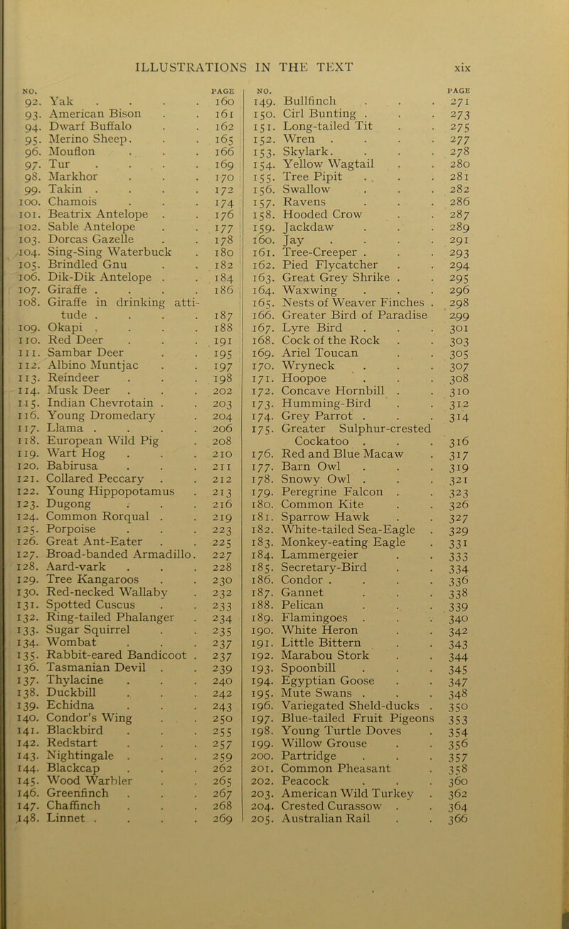 NO. 92. Yak .... PAGE 160 NO. 149. Bullfinch PAGE 271 93- American Bison I6I 150. Cirl Bunting . 273 94- Dwarf Buffalo 162 151. Long-tailed Tit 275 95- Merino Sheep. 165 152. Wren .... 277 96. Mouflon 166 153. Skylark. 278 97- Tur .... 169 154. Yellow Wagtail 280 98. Markhor 170 155. Tree Pipit 281 99- Takin .... 172 156. Swallow 282 100. Chamois 174 157. Ravens 286 lOI. Beatrix Antelope . 176 158. Hooded Crow 287 102. Sable Antelope 177 159. Jackdaw 289 103. Dorcas Gazelle 178 160. Jay .... 291 104. Sing-Sing Waterbuck 180 161. Tree-Creeper . 293 105. Brindled Gnu 182 162. Pied Flycatcher 294 106. Dik-Dik Antelope . 184 163. Great Grey Shrike . 295 107. 108. Giraffe .... Giraffe in drinking atti- tude .... 186 1 187 164. Waxwing 165. Nests of Weaver Finches . 166. Greater Bird of Paradise 296 298 '299 109. Okapi .... 188 167. Lyre Bird 301 110. Red Deer I9I 168. Cock of the Rock 303 III. Sambar Deer 195 169. Ariel Toucan 305 112. Albino Muntjac 197 170. Wryneck 307 113- Reindeer 198 171. Hoopoe 308 114. Musk Deer 202 172. Concave Hornbill . 310 115. Indian Chevrotain . 203 173. Humming-Bird 312 116. 117. Young Dromedary Llama .... 204 206 174. Grey Parrot . 175. Greater Sulphur-crested 314 118. European Wild Pig 208 Cockatoo 316 119. Wart Hog 210 176. Red and Blue Macaw 317 120. Babirusa 21 I 177. Barn Owl 319 121. Collared Peccary 212 178. Snowy Owl . 321 122. Young Hippopotamus 213 179. Peregrine Falcon . 323 123. Dugong 216 180. Common Kite 326 124. Common Rorqual . 219 181. Sparrow Hawk 327 125. Porpoise 223 182. White-tailed Sea-Eagle 329 126. Great Ant-Eater 225 183. Monkey-eating Eagle 331 127. Broad-banded Armadillo. 227 184. Lammergeier 333 128. Aard-vark 228 185. Secretary-Bird 334 129. Tree Kangaroos 230 186. Condor .... 336 130. Red-necked Wallaby 232 187. Gannet 338 131- Spotted Cuscus 233 188. Pelican 339 132. Ring-tailed Phalanger 234 189. Flamingoes 340 133. Sugar Squirrel 23s 190. White Heron 342 134- Wombat 237 191. Little Bittern 343 135- Rabbit-eared Bandicoot . 237 192. Marabou Stork 344 136. Tasmanian Devil . 239 193. Spoonbill 345 137. Thylacine 240 194. Egyptian Goose 347 138. Duckbill 242 195. Mute Swans . 348 139- Echidna 243 196. Variegated Sheld-ducks . 350 140. Condor’s Wing 250 197. Blue-tailed Fruit Pigeons 353 141. Blackbird 255 198. Young Turtle Doves 354 142. Redstart 257 199. Willow Grouse 356 143- Nightingale . 259 200. Partridge 357 144. Blackcap 262 201. Common Pheasant 358 145- Wood Warbler 265 202. Peacock 360 146. Greenfinch 267 203. American Wild Turkey 362 147. Chaffinch 268 204. Crested Curassow . 364 448. Linnet .... 269 205. Australian Rail 366