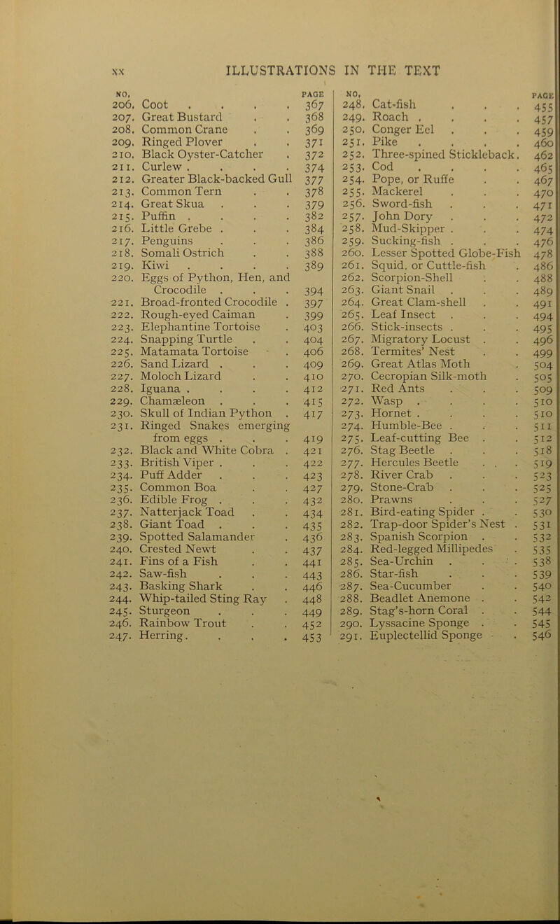 NO, 206. Coot PAGE 367 NO, 248. Cat-fish PAGE 455 207. Great Bustard 368 249. Roach .... 457 208. Common Crane 369 250. Conger Eel 459 209. Ringed Plover 371 251. Pike .... 460 210. Black Oyster-Catcher 372 252. Three-spined Stickleback. 462 211. Curlew . 374 253. Cod .... 465 212. Greater Black-backed Gull 377 254. Pope, or Ruffe 467 213. Common Tern 378 255. Mackerel 470 214. Great Skua 379 256. Sword-fish 471 215. Puffin . 382 257. John Dory 472 216. Little Grebe . 384 258. Mud-Skipper . 474 217. Penguins 386 259. Sucking-fish . 476 218. Somali Ostrich 388 260. Lesser Spotted Globe-Fish 478 219. Kiwi 389 261. Squid, or Cuttle-fish 486 220. Eggs of Python, Hen, and 262. Scorpion-Shell 488 Crocodile . 394 263. Giant Snail 489 221. Broad-fronted Crocodile 397 264. Great Clam-shell 491 222. Rough-eyed Caiman 399 265. Leaf Insect 494 223. Elephantine Tortoise 403 266. Stick-insects . 495 224. Snapping Turtle 404 267. Migratory Locust . 268. Termites’ Nest 496 225. Matamata Tortoise 406 499 226. Sand Lizard . 409 269. Great Atlas Moth 504 227. Moloch Lizard 410 270. Cecropian Silk-moth 505 228. Iguana . 412 ■271. Red Ants 509 229. Chamaeleon 415 272. Wasp . . 510 230. Skull of Indian Python 417 273. Hornet .... 510 231. Ringed Snakes emerging 274. Humble-Bee . 511 from eggs . 419 275. Leaf-cutting Bee 512 232. Black and White Cobra 421 276. Stag Beetle 518 233- British Viper . 422 277. Hercules Beetle . . 519 234- Puff Adder 423 278. River Crab 523 235- Common Boa 427 279. Stone-Crab 525 236. Edible Frog . 432 280. Prawns 527 237- Natterjack Toad 434 281. Bird-eating Spider . 282. Trap-door Spider’s Nest . 530 238. Giant Toad 435 531 239- Spotted Salamander 436 283. Spanish Scorpion . 532 240. Crested Newt 437 284. Red-legged Millipedes 535 241. Fins of a Fish 441 285. Sea-Urchin 538 242. Saw-fish 443 286. Star-fish 539 243- Basking Shark 446 287. Sea-Cucumber 540 244. Whip-tailed Sting Ray 448 288. Beadlet Anemone . 542 245- Sturgeon 449 289. Stag’s-horn Coral . 544 246. Rainbow Trout 452 290. Lyssacine Sponge . 545 247. Herring. 453 291, Euplectellid Sponge 546