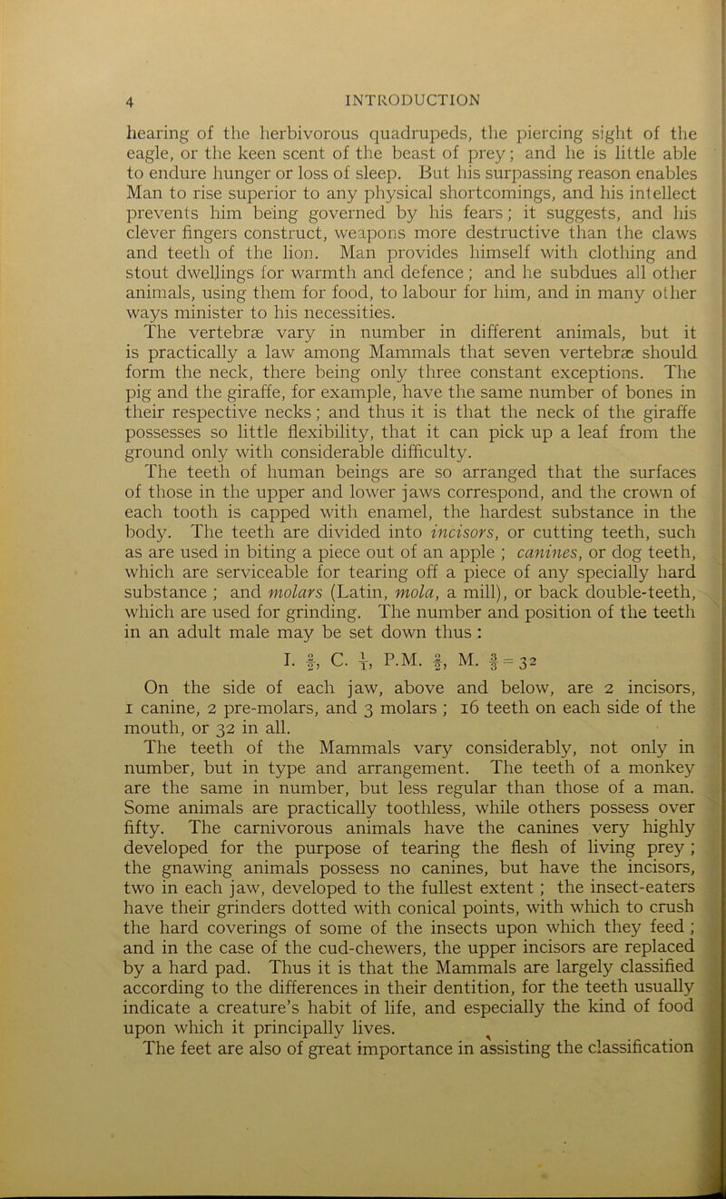 I I 4 INTRODUCTION hearing of the herbivorous quadrupeds, the piercing sight of the eagle, or the keen scent of the beast of prey; and he is little able to endure hunger or loss of sleep. But his surpassing reason enables Man to rise superior to any physical shortcomings, and his intellect prevents him being governed by his fears; it suggests, and his clever fingers construct, weapons more destructive than the claws and teeth of the lion. Man provides himself with clothing and stout dwellings for warmth and defence ; and he subdues all other animals, using them for food, to labour for him, and in many other ways minister to his necessities. The vertebrae vary in number in different animals, but it is practically a law among Mammals that seven vertebrae should form the neck, there being only three constant exceptions. The pig and the giraffe, for example, have the same number of bones in their respective necks; and thus it is that the neck of the giraffe possesses so little flexibility, that it can pick up a leaf from the S ground only with considerable difficulty. The teeth of human beings are so arranged that the surfaces ! of those in the upper and lower jaws correspond, and the crown of | each tooth is capped with enamel, the hardest substance in the | body. The teeth are divided into incisors, or cutting teeth, such as are used in biting a piece out of an apple ; canines, or dog teeth, which are serviceable for tearing off a piece of any specially hard substance ; and molars (Latin, mola, a mill), or back double-teeth, which are used for grinding. The number and position of the teeth in an adult male may be set down thus : I. I, C. 1, P.M. f, M. 1=32 On the side of each jaw, above and below, are 2 incisors, I canine, 2 pre-molars, and 3 molars ; 16 teeth on each side of the mouth, or 32 in all. The teeth of the Mammals vary considerably, not only in number, but in type and arrangement. The teeth of a monkey are the same in number, but less regular than those of a man. Some animals are practically toothless, while others possess over fifty. The carnivorous animals have the canines very highly developed for the purpose of tearing the flesh of living prey ; the gnawing animals possess no canines, but have the incisors, two in each jaw, developed to the fullest extent; the insect-eaters have their grinders dotted with conical points, with which to crush the hard coverings of some of the insects upon which they feed ; and in the case of the cud-chewers, the upper incisors are replaced by a hard pad. Thus it is that the Mammals are largely classified according to the differences in their dentition, for the teeth usually indicate a creature’s habit of life, and especially the kind of food upon which it principally lives. ^ The feet are also of great importance in assisting the classification ■t (I