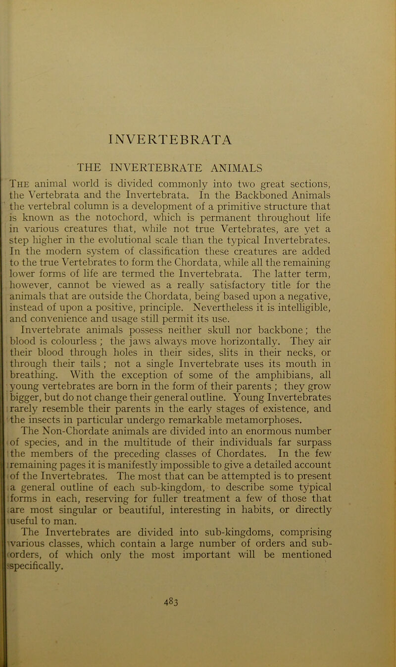 THE INVERTEBRATE ANIMALS The animal world is divided commonly into two great sections, the \Trtebrata and the Invertebrata. In the Backboned Animals the vertebral column is a development of a primitive structure that is known as the notochord, which is permanent throughout life in various creatures that, while not true Vertebrates, are yet a step higher in the evolutional scale than the typical Invertebrates. In the modern system of classification these creatures are added to the true Vertebrates to form the Chordata, while all the remaining lower forms of life are termed the Invertebrata. The latter term, however, cannot be viewed as a really satisfactory title for the animals that are outside the Chordata, being based upon a negative, instead of upon a positive, principle. Nevertheless it is intelligible, and convenience and usage still permit its use. Invertebrate animals possess neither skull nor backbone; the blood is colourless ; the jaws always move horizontally. They air their blood through holes in their sides, slits in their necks, or through their tails ; not a single Invertebrate uses its mouth in breathing. With the exception of some of the amphibians, all young vertebrates are born in the form of their parents ; they grow bigger, but do not change their general outline. Young Invertebrates rarely resemble their parents in the early stages of existence, and the insects in particular undergo remarkable metamorphoses. The Non-Chordate animals are divided into an enormous number of species, and in the multitude of their individuals far surpass the members of the preceding classes of Chordates. In the few . remaining pages it is manifestly impossible to give a detailed account of the Invertebrates. The most that can be attempted is to present a general outline of each sub-kingdom, to describe some typical : forms in each, reserving for fuller treatment a few of those that .are most singular or beautiful, interesting in habits, or directly useful to man. The Invertebrates are divided into sub-kingdoms, comprising 'various classes, which contain a large number of orders and sub- I orders, of which only the most important will be mentioned ^specifically.