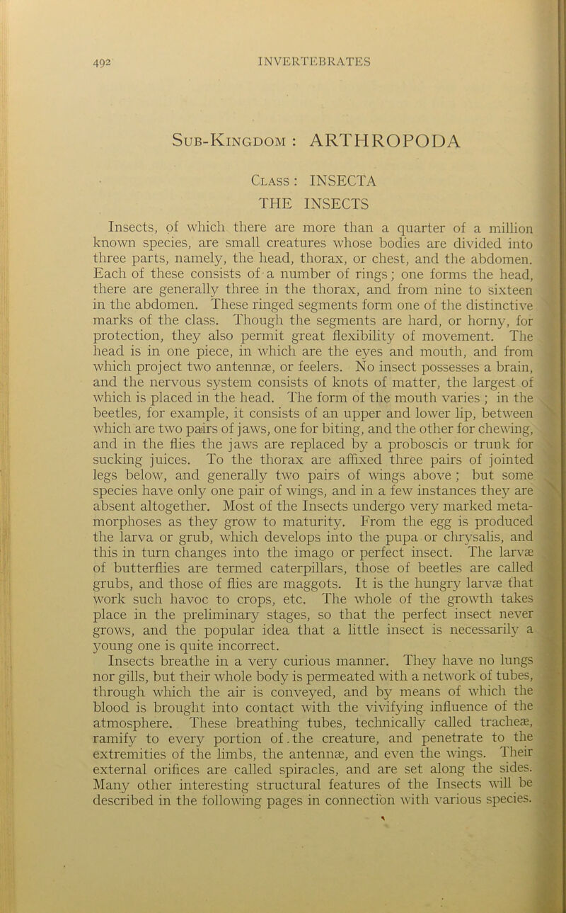 Sub-Kingdom : ARTHROPODA Class : INSECTA THE INSECTS Insects, of which there are more than a quarter of a million known species, are small creatures whose bodies are divided into three parts, namely, the head, thorax, or chest, and the abdomen. Each of these consists of • a number of rings; one forms the head, there are generally three in the thorax, and from nine to sixteen in the abdomen. These ringed segments form one of the distinctive marks of the class. Though the segments are hard, or horny, for protection, they also permit great flexibility of movement. The head is in one piece, in which are the eyes and mouth, and from which project two antennae, or feelers. No insect possesses a brain, and the nervous system consists of knots of matter, the largest of which is placed in the head. The form of the mouth varies ; in the beetles, for example, it consists of an upper and lower lip, between which are two pairs of jaws, one for biting, and the other for chewing, and in the flies the jaws are replaced by a proboscis or trunk for sucking juices. To the thorax are affixed three pairs of jointed legs below, and generally two pairs of wings above ; but some species have only one pair of wings, and in a few instances thej^ are absent altogether. Most of the Insects undergo very marked meta- morphoses as they grow to maturity. From the egg is produced the larva or grub, which develops into the pupa or chrysalis, and this in turn changes into the imago or perfect insect. The larvae of butterflies are termed caterpillars, those of beetles are called grubs, and those of flies are maggots. It is the hungry larvae that work such havoc to crops, etc. The whole of the growth takes place in the preliminary stages, so that the perfect insect never grows, and the popular idea that a little insect is necessarily a young one is quite incorrect. Insects breathe in a very curious manner. They have no lungs nor gills, but their whole body is permeated with a network of tubes, through which the air is conveyed, and by means of which the blood is brought into contact with the vivifying influence of the atmosphere. These breathing tubes, technically called tracheae, ramify to every portion of-the creature, and penetrate to the extremities of the limbs, the antennae, and even the wings. Their external orifices are called spiracles, and are set along the sides. Many other interesting structural features of the Insects will be described in the following pages in connection with ^mrious species. \ 4 it