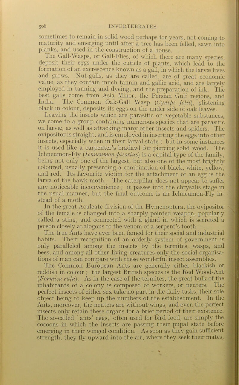 sometimes to remain in solid wood perhaps for years, not coming to maturity and emerging until after a tree has been felled, sawn into planks, and used in the construction of a house. The Gall-Wasps, or Gall-Flies, of which there are many species, deposit their eggs under the cuticle of plants, which lead to the formation of an excrescence known as a gall, in which the larv® lives and grows. Nut-galls, as they are called, are of great economic value, as they contain much tannin and gallic acid, and are largely employed in tanning and dyeing, and the preparation of ink. The best galls come from Asia Minor, the Persian Gulf regions, and India. The Common Oak-Gall Wasp [Cynips folii), glistening black in colour, deposits its eggs on the under side of oak leaves. Leaving the insects which are parasitic on vegetable substances, we come to a group containing numerous species that are parasitic on larvae, as well as attacking many other insects and spiders. The ovipositor is straight, and is employed in inserting the eggs into other insects, especially when in their larval state ; but in some instances it is used like a carpenter’s bradawl for piercing solid wood. The Ichneumon-Fly [Ichneumon pisorius) is a capital type of the family, being not only one of the largest, but also one of the most brightly coloured, usually presenting a combination of black, white, yellow, and red. Its favourite victim for the attachment of an egg is the larva of the hawk-moth. The caterpillar does not appear to suffer any noticeable inconvenience ; it passes into the chrysalis stage in the usual manner, but the final outcome is an Ichneumon-Fly in- stead of a moth. In the great Aculeate division of the Hymenoptera, the ovipositor of the female is changed into a sharply pointed weapon, popularly called a sting, and connected with a gland in which is secreted a poison closely analogous to the venom of a serpent’s tooth. The true Ants have ever been famed for their social and industrial habits. Their recognition of an orderly system of government is only paralleled among the insects by the termites, wasps, and bees, and among all other living creatures only the social organisa- tions of man can compare with these wonderful insect assemblies. The Common European Ants are generally either blackish or reddish in colour ; the largest British species is the Red Wood-Ant [Formica rufa). As in the case of the termites, the great bulk of the inhabitants of a colony is composed of workers, or neuters. The perfect insects of either sex take no part in the daily tasks, their sole object being to keep up the numbers of the establishment. In the Ants, moreover, the neuters are without'wings, and even the perfect insects only retain these organs for a brief period of their existence. The so-called ‘ ants’ eggs,’ often used for bird food, are simply the cocoons in which the insects are passing their pupal state before emerging in their winged condition. As soon as they gain sufficient strength, they fly upward into the air, where they seek their mates.