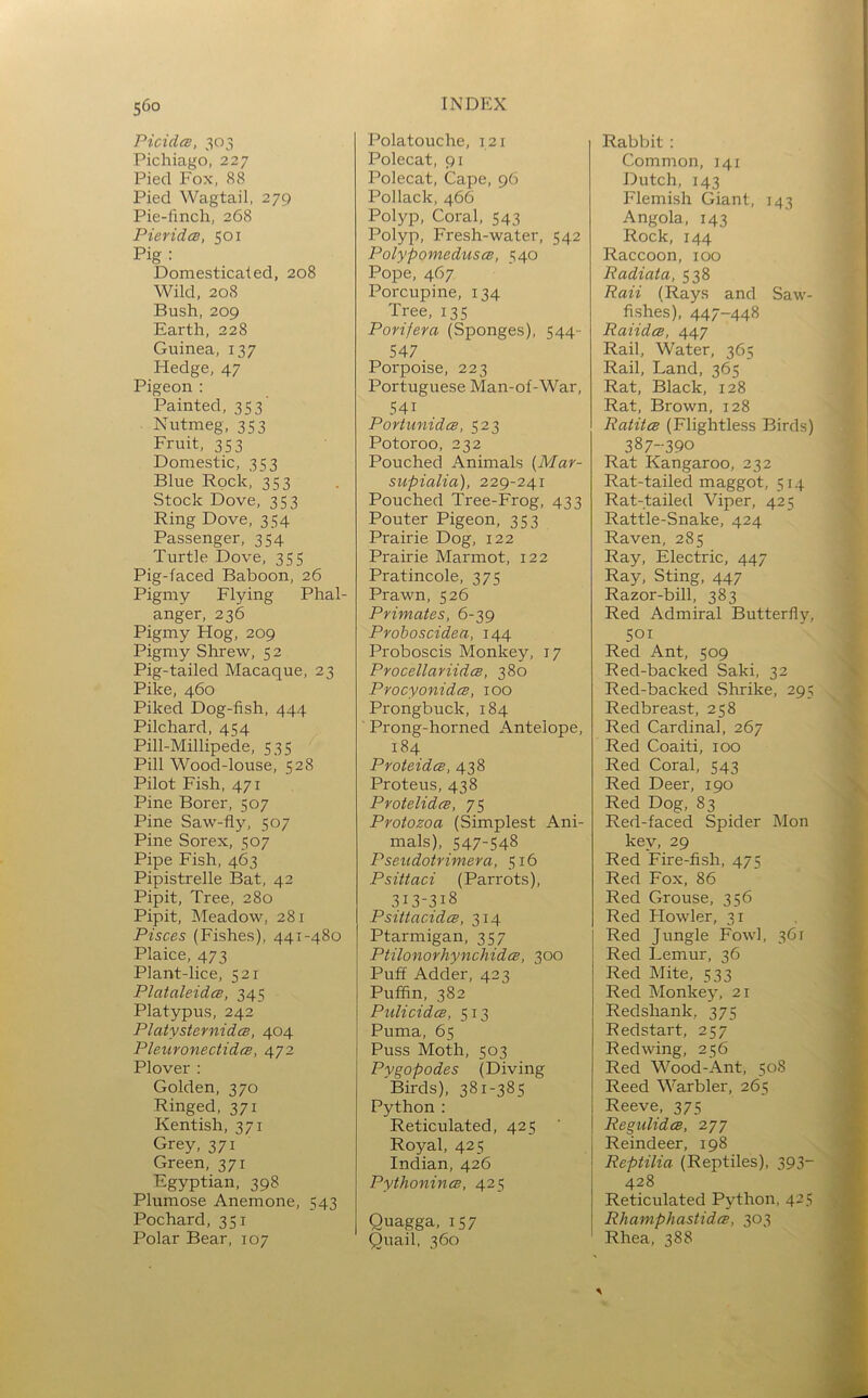PicidcB, 303 Picliiago, 227 Pied Fox, 88 Pied Wagtail, 279 Pie-finch, 268 PieridcB, 501 Pig : Domesticated, 208 Wild. 208 Bush, 209 Earth, 228 Guinea, 137 Hedge, 47 Pigeon : Painted, 353' Nutmeg, 353 Fruit, 353 Domestic, 353 Blue Rock, 353 Stock Dove, 353 Ring Dove, 354 Passenger, 354 Turtle Dove, 355 Pig-faced Baboon, 26 Pigmy Flying Phal- anger, 236 Pigmy Hog. 209 Pigmy Shrew, 52 Pig-tailed Macaque, 23 Pike, 460 Piked Dog-fish, 444 Pilchard, 454 Pill-Millipede, 535 Pill Wood-louse, 528 Pilot Fish, 471 Pine Borer, 507 Pine Saw-fly, 507 Pine Sorex, 507 Pipe Fish, 463 Pipistrelle Bat, 42 Pipit, Tree, 280 Pipit, Meadow, 281 Pisces (Fishes), 441-480 Plaice, 473 Plant-lice, 521 PlataleidcB, 345 Platypus, 242 PlatysternidcB, 404 PleuronectidcB, 472 Plover : Golden, 370 Ringed, 371 Kentish, 371 Grey, 371 Green, 371 Egyptian, 398 Plumose Anemone, 543 Pochard, 351 Polar Bear, 107 Polatouche, 121 Polecat, 91 Polecat, Cape, 96 Pollack, 466 Polyp, Coral, 543 Polyp, Fresh-water, 542 Polypomedusce, 540 Pope, 467 Porcupine, 134 Tree, 135 Porijera (Sponges), 544- 547 Porpoise, 223 Portuguese Man-of-War, 541 PortunidcB, 523 Potoroo, 232 Pouched Animals {Mar- supialia), 229-241 Pouched Tree-Frog, 433 Pouter Pigeon, 353 Prairie Dog, 122 Prairie Marmot, 122 Pratincole, 375 Prawn, 526 Primates, 6-39 Proboscidea, 144 Proboscis Monkey, 17 ProcellariidcB, 380 Procyonidce, 100 Prongbuck, 184 Prong-horned Antelope, 184 ProteidcB, 438 Proteus, 438 ProtelidcB, 75 Protozoa (Simplest Ani- mals), 547-548 Psendotrimera, 516 Psittaci (Parrots), 313-318 PsittacidcB, 314 Ptarmigan, 357 Ptilonorhynchidce, 300 Puff Adder, 423 Puffin, 382 Pulicidce, 513 Puma, 65 Puss Moth, 503 Pygopodes (Diving Birds), 381-385 Python : Reticulated, 425 Royal, 425 Indian, 426 PythonincB, 425 Quagga, 157 Quail. 360 Rabbit : Common, 141 Dutch, 143 Flemish Giant, 143 Angola, 143 Rock, 144 Raccoon, 100 Padiata, 538 Raii (Rays and Saw- fishes), 447-448 RaiidcB, 447 Rail, Water, 365 Rail, Land, 365 Rat, Black, 128 Rat, Brown, 128 Ratitce (Flightless Birds) 387--390 Rat Kangaroo, 232 Rat-tailed maggot, 514 Rat-tailed Viper, 425 Rattle-Snake, 424 Raven, 285 Ray, Electric, 447 Ray, Sting, 447 Razor-bill, 383 Red Admiral Butterfly, 501 Red Ant, 509 Red-backed Saki, 32 Red-backed Shrike, 295 Redbreast, 258 Red Cardinal, 267 Red Coaiti, 100 Red Coral, 543 Red Deer, 190 Red Dog, 83 Red-faced Spider Mon key, 29 Red Fire-fish, 475 Red Fox, 86 Red Grouse, 356 Red Plowler, 31 Red Jungle Fowl, 361 Red Lemur, 36 Red Mite, 533 Red Monkey, 21 Redshank, 375 Redstart, 257 Redwing, 256 Red Wood-Ant, 508 Reed Warbler, 265 Reeve, 375 Regulidce, 277 Reindeer, 198 Reptilia (Reptiles), 393~ 428 Reticulated Python, 425 RhamphastidtB, 303 Rhea, 388