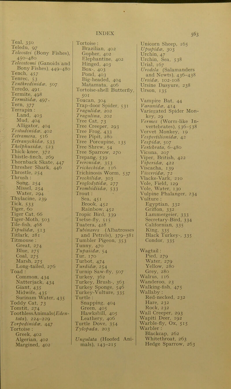 Teal, 350 Teledii, 97 Teleostei (Bony Fishes), 450-480 Teleostomi (Ganoids and Bony Fishes), 449-480 Tench, 457 Tenrec, 53 Tenthrcdiniden, 507 Teredo, 491 Termite, 498 Termitidce, 497. Tern, 377 Terrapin : Land, 403 Mud, 404 Alligator, 404 2'estudinidcs, 402 Tetramera, 516 Tetranychidce, 333 Thelphusidts, 523 Thick-knee, 372 Thistle-finch, 269 Thornback Skate, 447 Thresher Shark, 446 Throstle, 254 Thrush : Song, 254 Missel, 254 Water, 294 Thylacine, 239 Tick, 533 Tiger, 60 Tiger Cat, 66 Tiger-Moth, 503 Tile-fish, 468 TipulidcB, 513 Titlark, 281 Titmouse : Great, 274 Blue, 275 Coal, 275 Marsh, 275 Long-tailed, 276 Toad : Common, 434 Natterjack, 434 Giant, 435 Midwife, 435 Surinam Water, 435 Toddy Cat, 73 Tomtit, 274 ToothlessAnimals(£(?eH- tata), 224-229 TorpedinidcB, 447 Tortoise : Greek, 402 Algerian, 402 Margined, 402 Tortoise : Brazilian, 402 Gopher, 402 Elephantine, 402 Hinged, 403 Box-, 403 Pond, 403 Big-headed, 404 Matamata, 406 Tortoise-shell Butterfly, 501 Toucan, 304 Trap-door Spider, 531 TragiilidcB, 202 Tragulina, 202 Tree Cat, 73 Tree Creeper, 293 Tree Frog, 433 Tree Pipit, 280 Tree Porcupine, 135 Tree Shrew, 54 Tree Sparrow, 270 Trepang, 539 Treronidcs, 353 TrichechidcB, 116 Trichinosis Worm, 537 TrochilidcB, 303 TroglodytidcB, 277 TrombidiidcB, 533 Trout: Sea, 451 Brook, 452 Rainbow, 452 Tropic Bird, 339 Tsetse-fly, 515 Tuatera, 428 Tuhinares (Albatrosses and Petrels), 379-381 Tumbler Pigeon, 353 Tunny, 470 TupaiidcB, 54 Tur, 170 Turbot, 474 TurdidcB, 254 Turnip Saw-fly, 507 Turkey, 362 Turkey, Brush-, 363 Turkey Sponge, 546 Turkey-Vulture, 335 Turtle ; Snapping, 404 Green, 405 Hawksbill, 405 Leathery, 406 Turtle Dove, 354 Tylopada, 203 Ungulata (Hoofed Ani- mals), 143-215 Unicorn Sheep, 165 UpupidcB, 303 Urchin, 47 Urchin, Sea, 538 Uriah 167 Urodela (Salamanders and Newts), 436-438 UrsidcB, 102-108 Ursine Dasyure, 238 Urson, 135 Vampire Bat, 44 Varanidce, 414 Variegated Spider Mon- kej'-, 29 Vermes (Worm-like In- vertebrates), 536-538 Vervet Monkey, 19 VespertilionidcB, 42 Vespidcs, 507 Vertebrata, 6-480 Vicuna, 207 Viper, British, 422 ViperidcB, 422 Viscacha, 139 Viverridce, 72 Vlacke-Vark, 210 Vole, Field, 129 Vole, Water, 130 Vulpine Phalanger, 234 Vulture : Egyptian, 332 Griffon, 332 Lammergeier, 333 Secretary-Bird, 334 Californian, 335 King, 335 Black Turkey-, 335 Condor, 335 Wagtail: Pied, 279 Water, 279 Yellow, 280 Grey, 280 Walrus, 116 Wanderoo, 23 Walking-fish, 475 Wallaby : Red-necked, 232 Hare, 232 Rock, 232 Wall Creeper, 293 Wapiti Deer, 192 Warble-fly, Ox, 515 Warbler : Blackcap, 262 Whitethroat, 263 Hedge Sparrow, 263