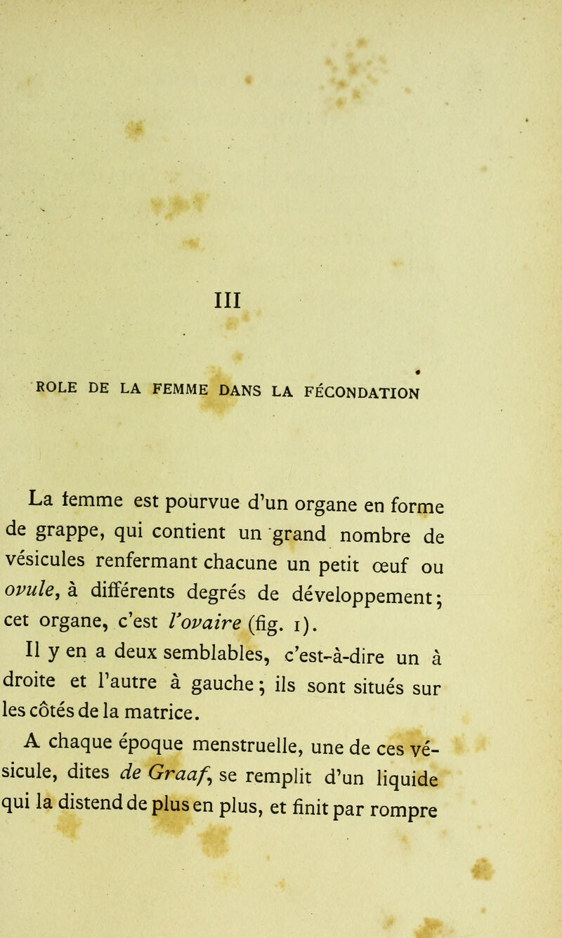 III ROLE DE LA FEMME DANS LA FÉCONDATION La temme est pourvue d’un organe en forme de grappe, qui contient un grand nombre de vésicules renfermant chacune un petit œuf ou ovule, à différents degrés de développement ; cet organe, c’est l’ovaire (fig. i). Il y en a deux semblables, c’est-à-dire un à droite et l’autre à gauche ; ils sont situés sur les côtés de la matrice. A chaque époque menstruelle, une de ces vé- sicule, dites de Graaf^ se remplit d’un liquide qui la distend de plus en plus, et finit par rompre